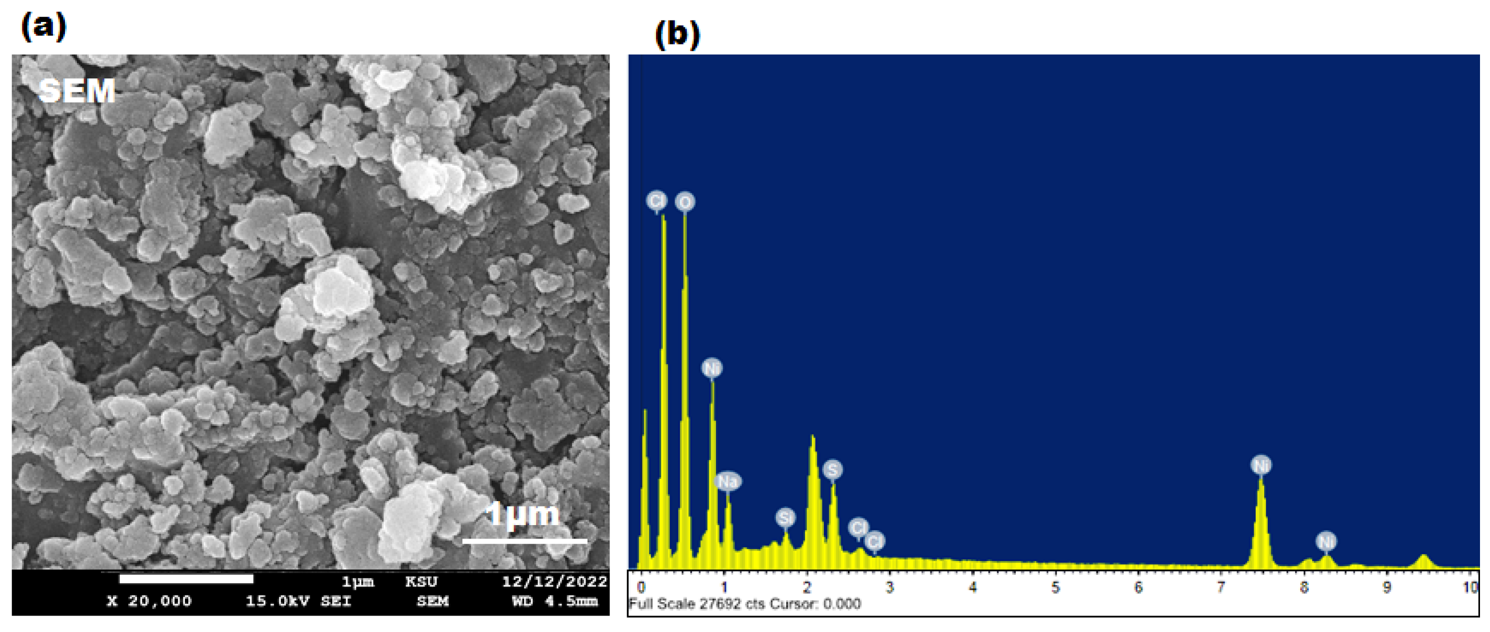Microbiolres 14 00128 g004
