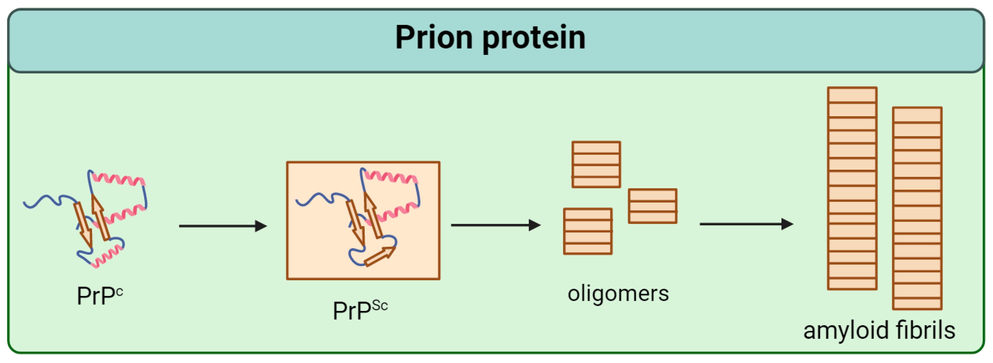 Microbiolres 14 00131 g001