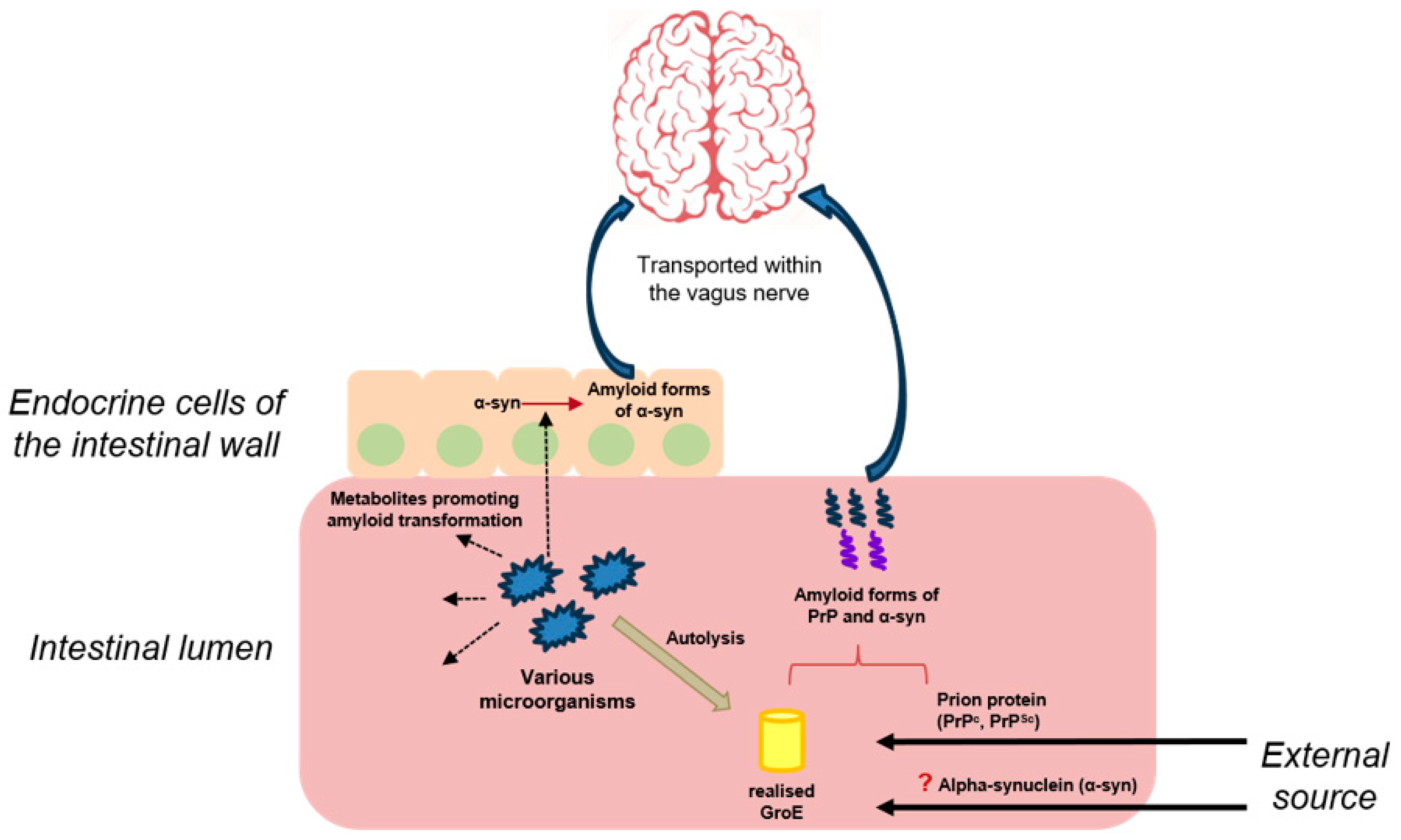 Microbiolres 14 00131 g002