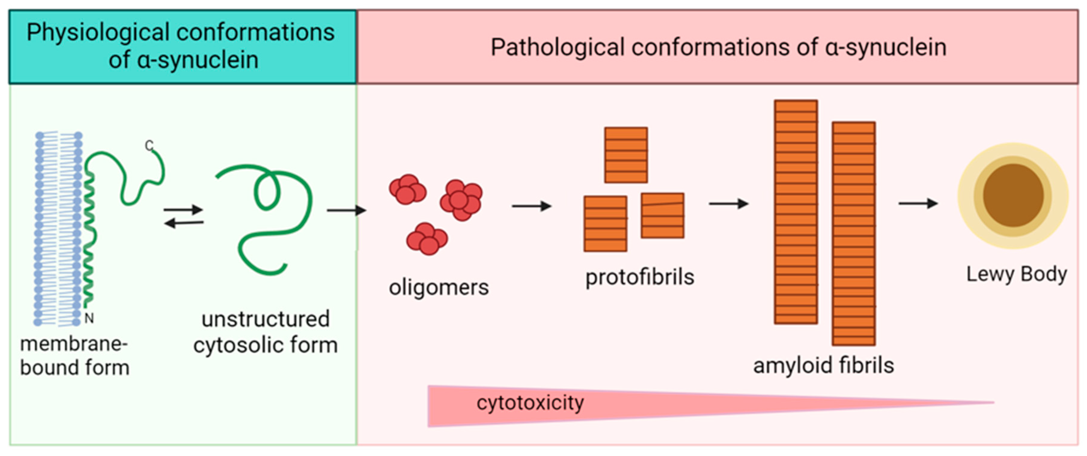 Microbiolres 14 00131 g003