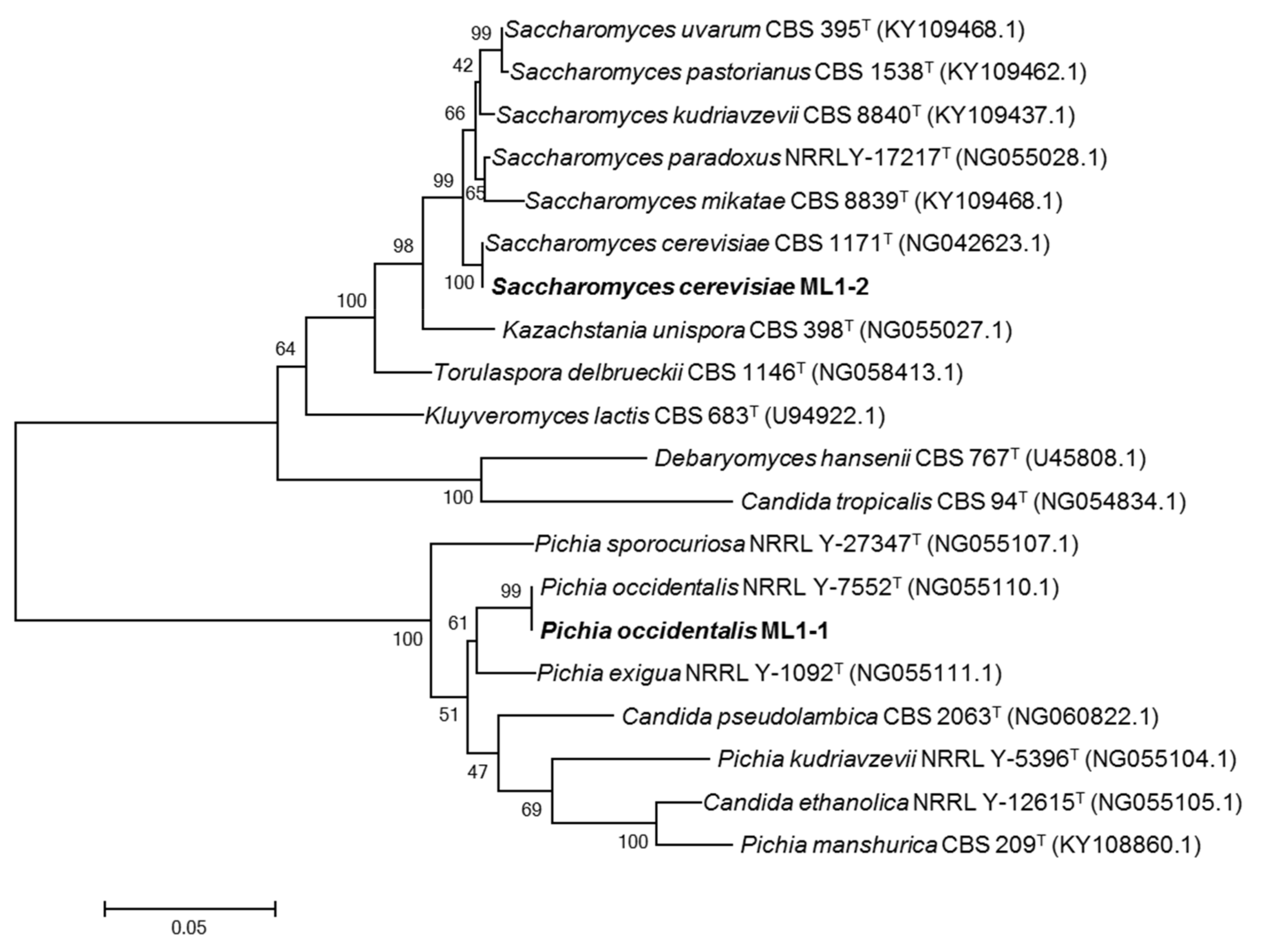 Microbiolres 14 00133 g003