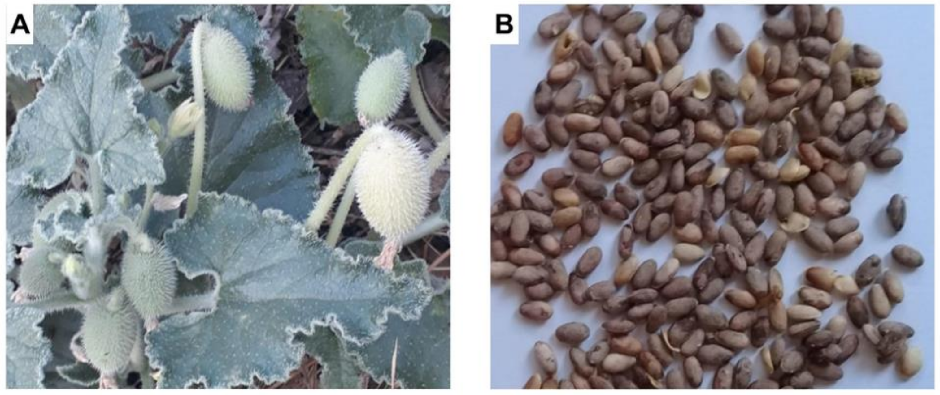 Microbiolres 14 00140 g001