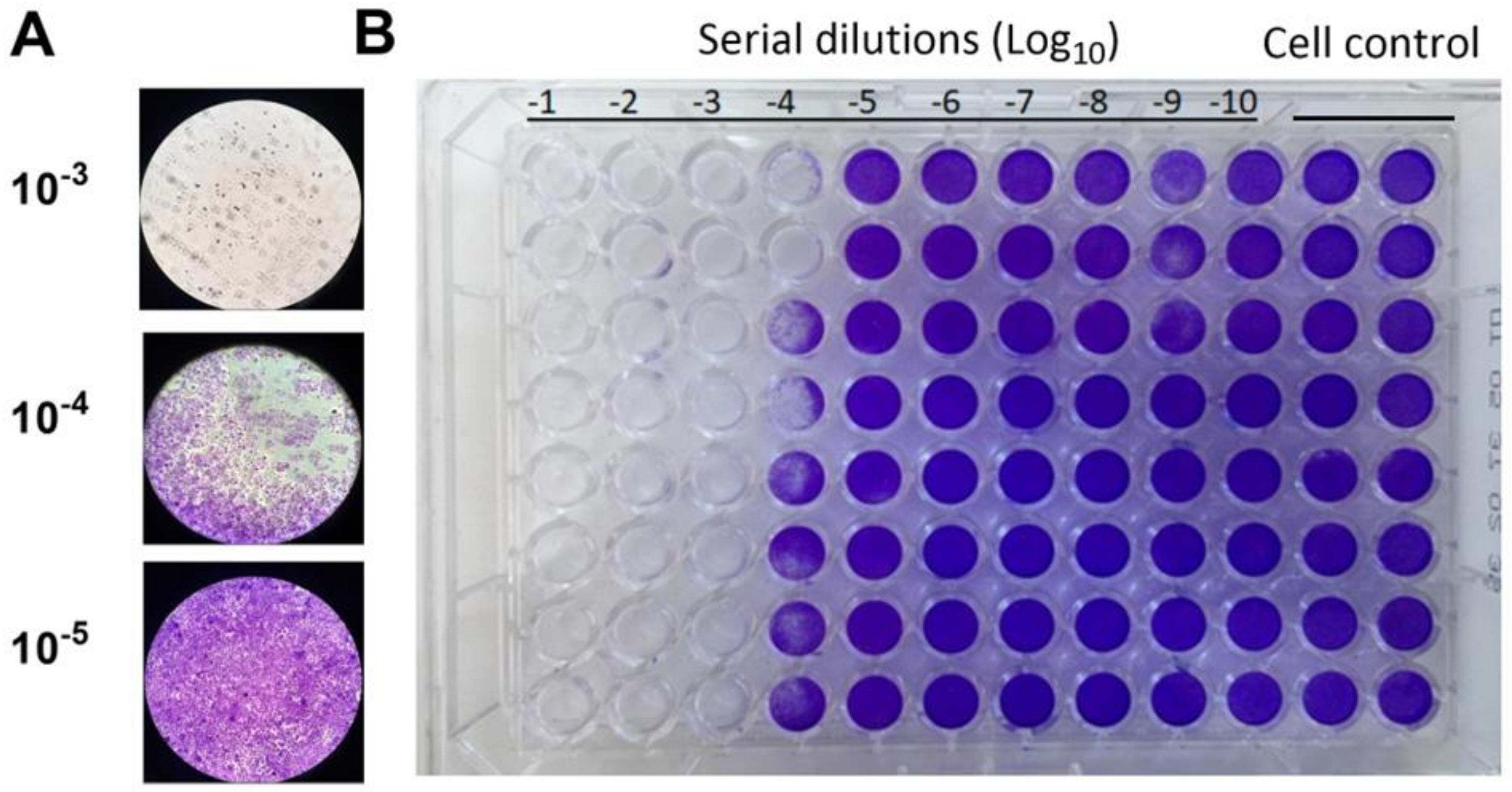 Microbiolres 14 00140 g002