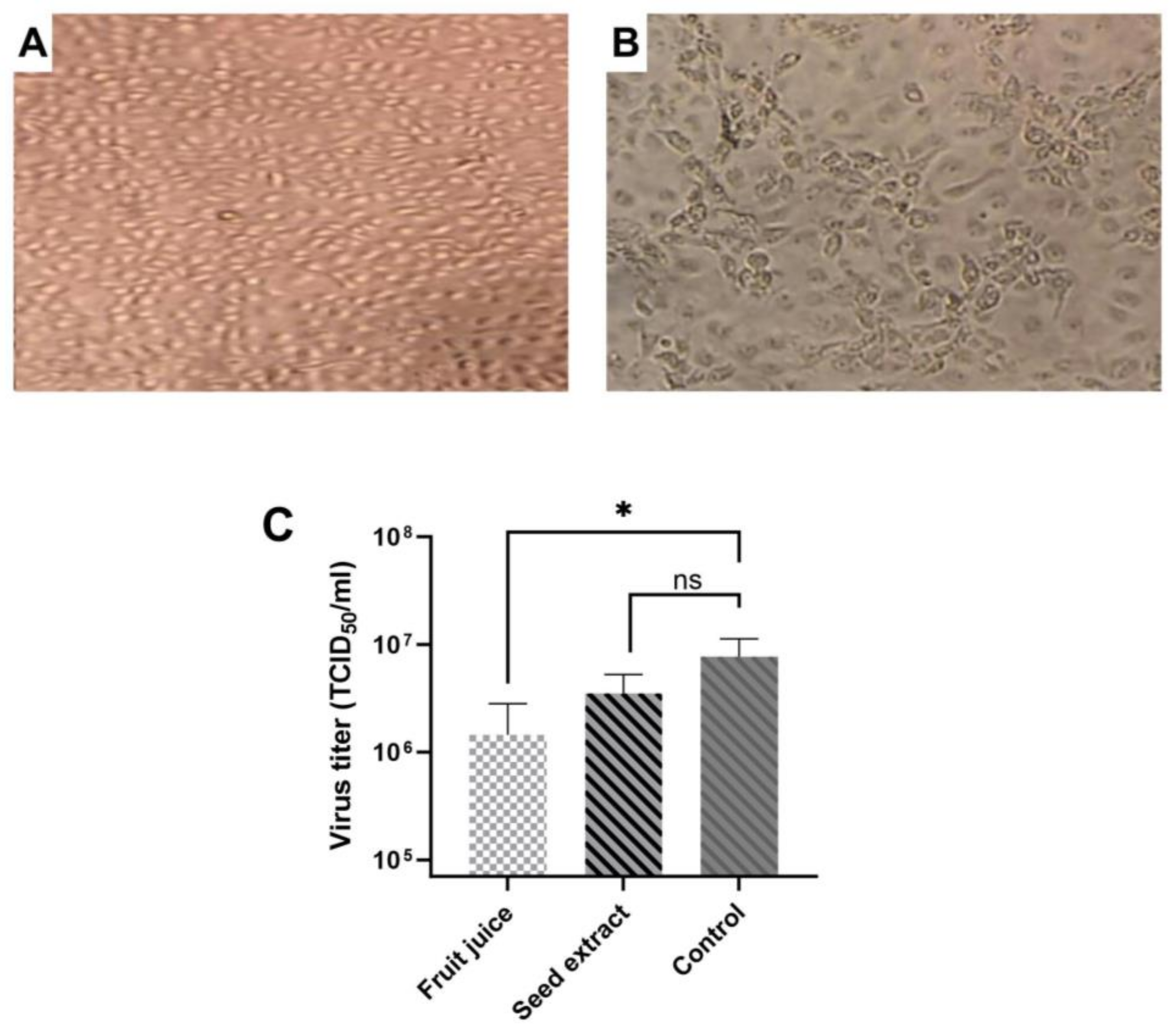 Microbiolres 14 00140 g004