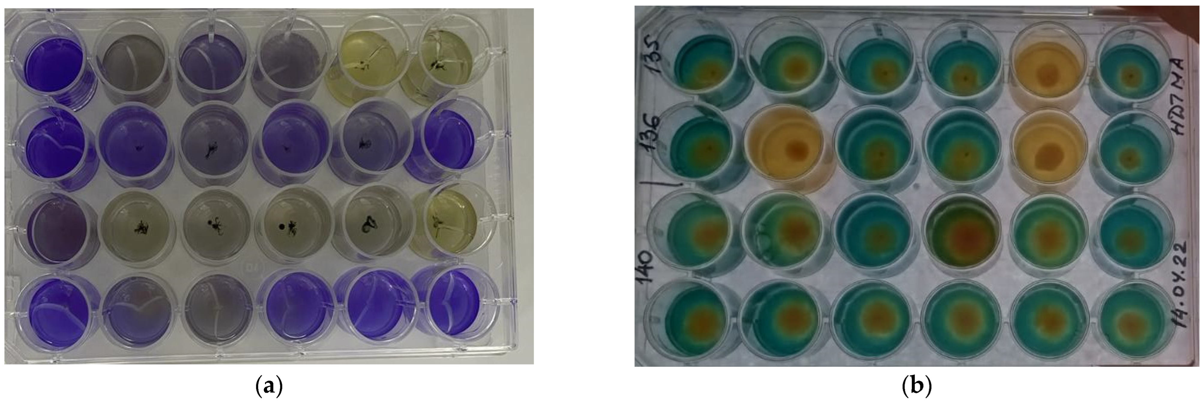 Microbiolres 15 00002 g001