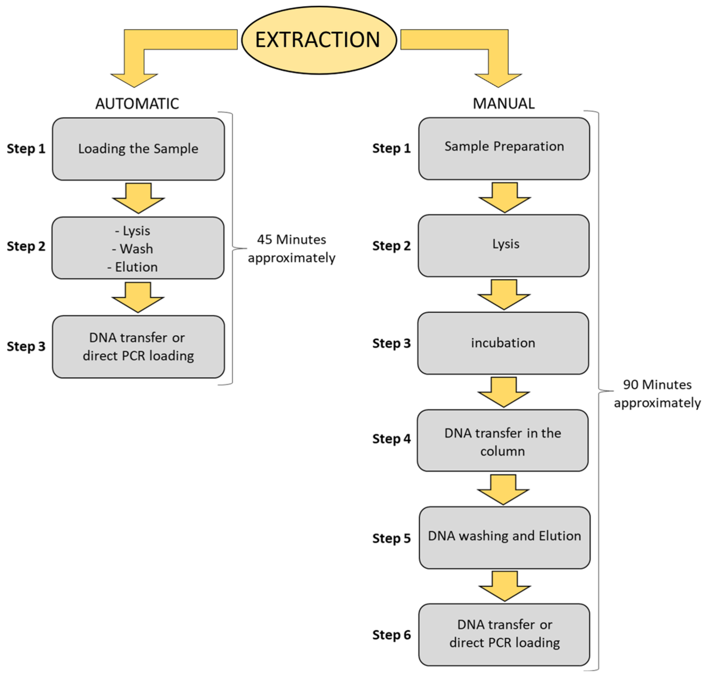 Microbiolres 15 00008 g007 Microbiolres 15 00008 g007