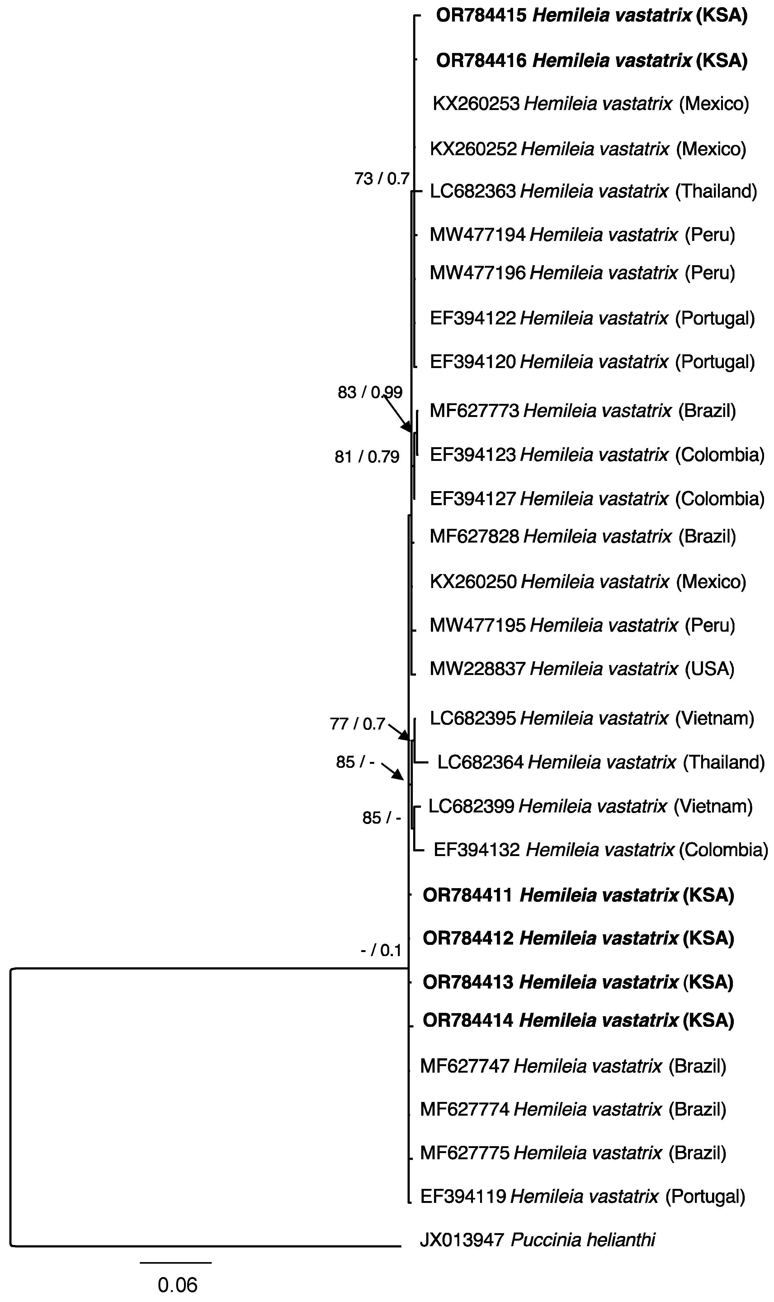 Microbiolres 15 00011 g003