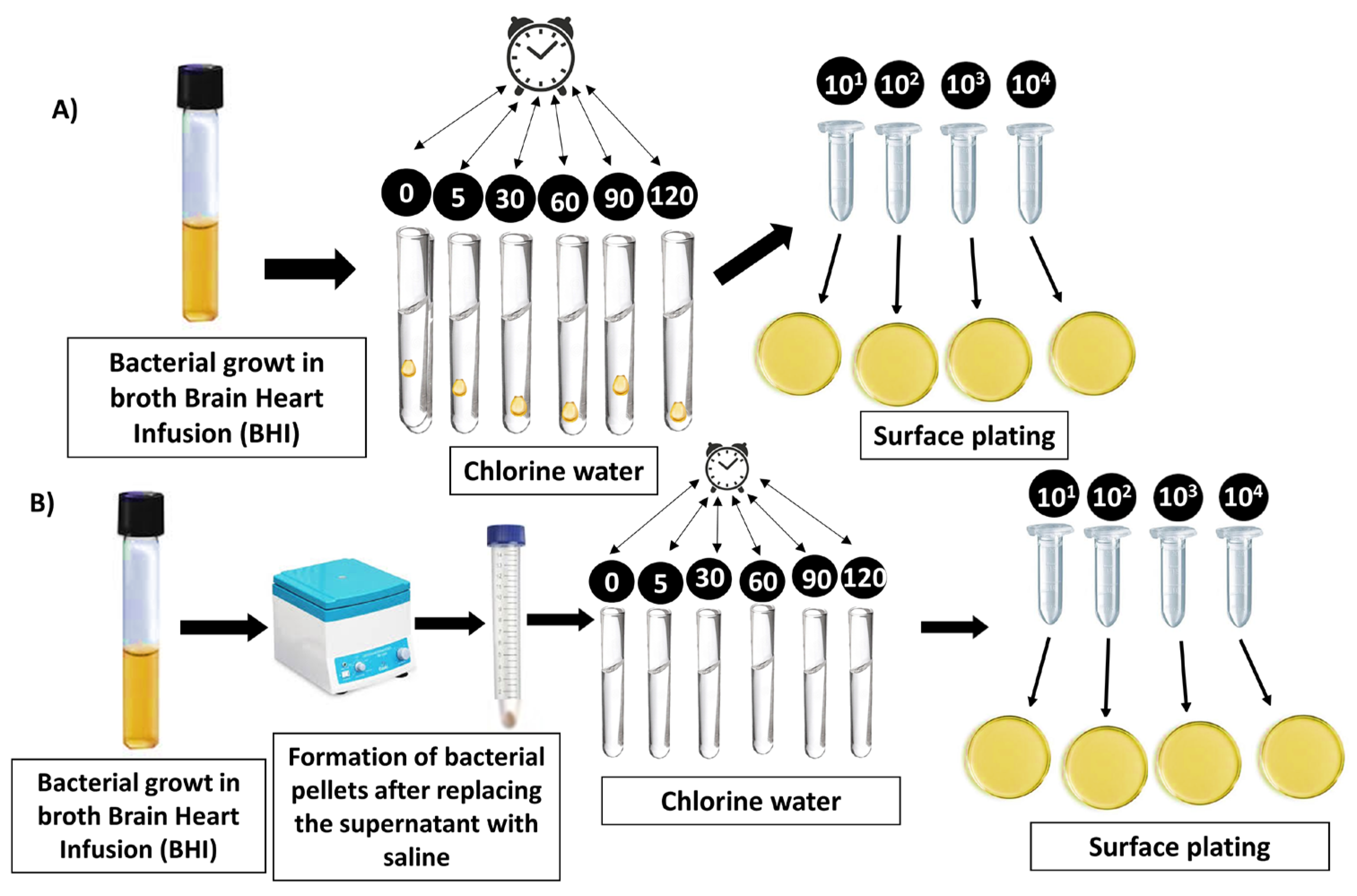 Microbiolres 15 00023 g001