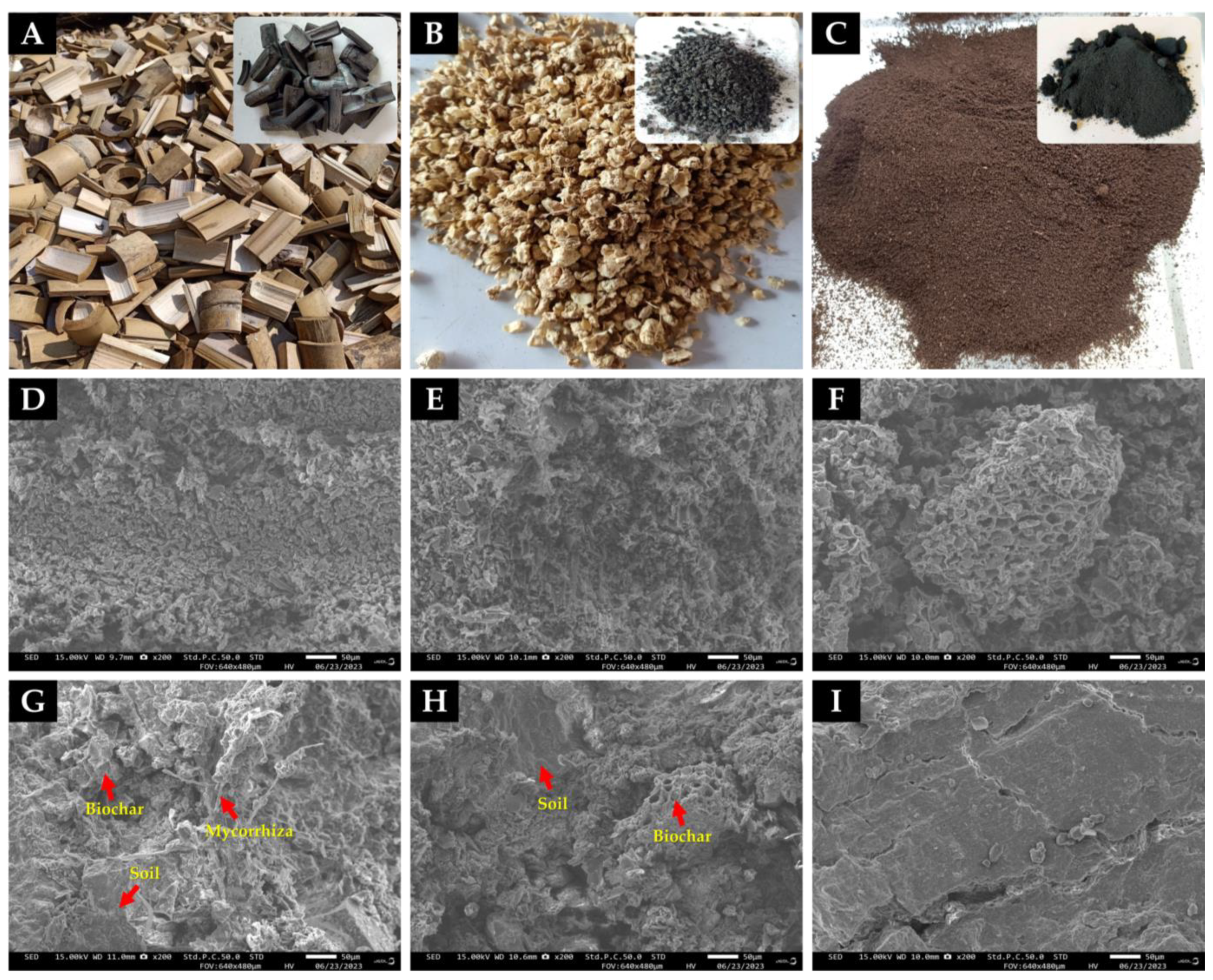 Microbiolres 15 00027 g001