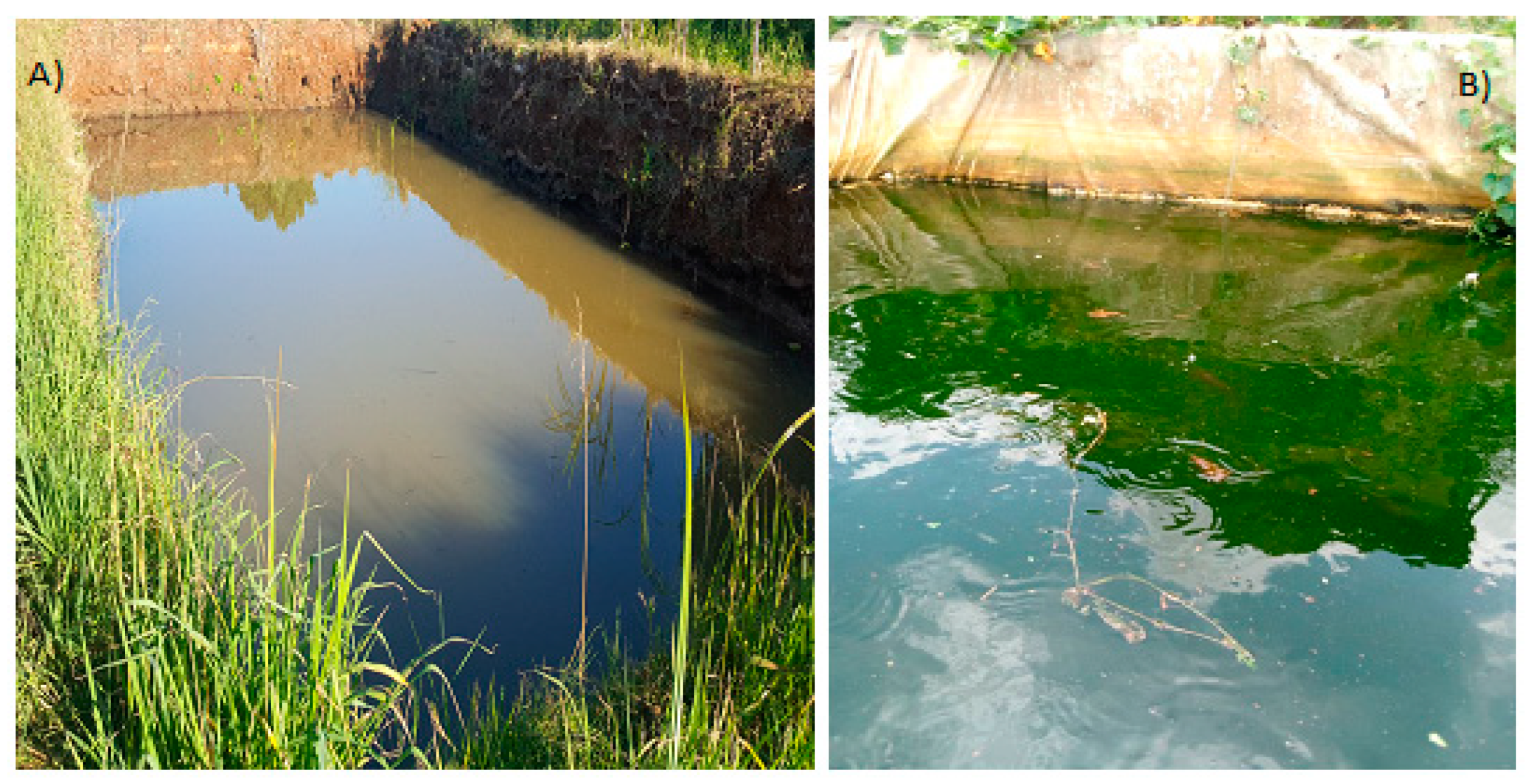 Microbiolres 15 00030 g001