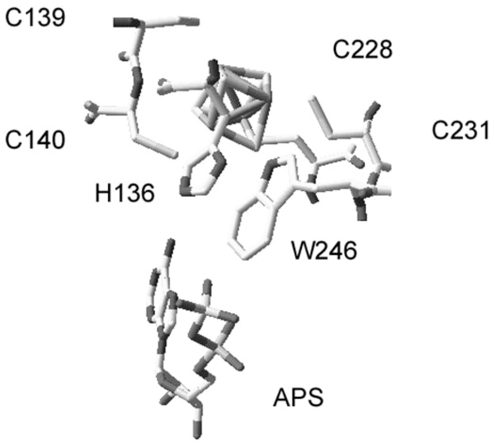 Microbiolres 15 00031 g001
