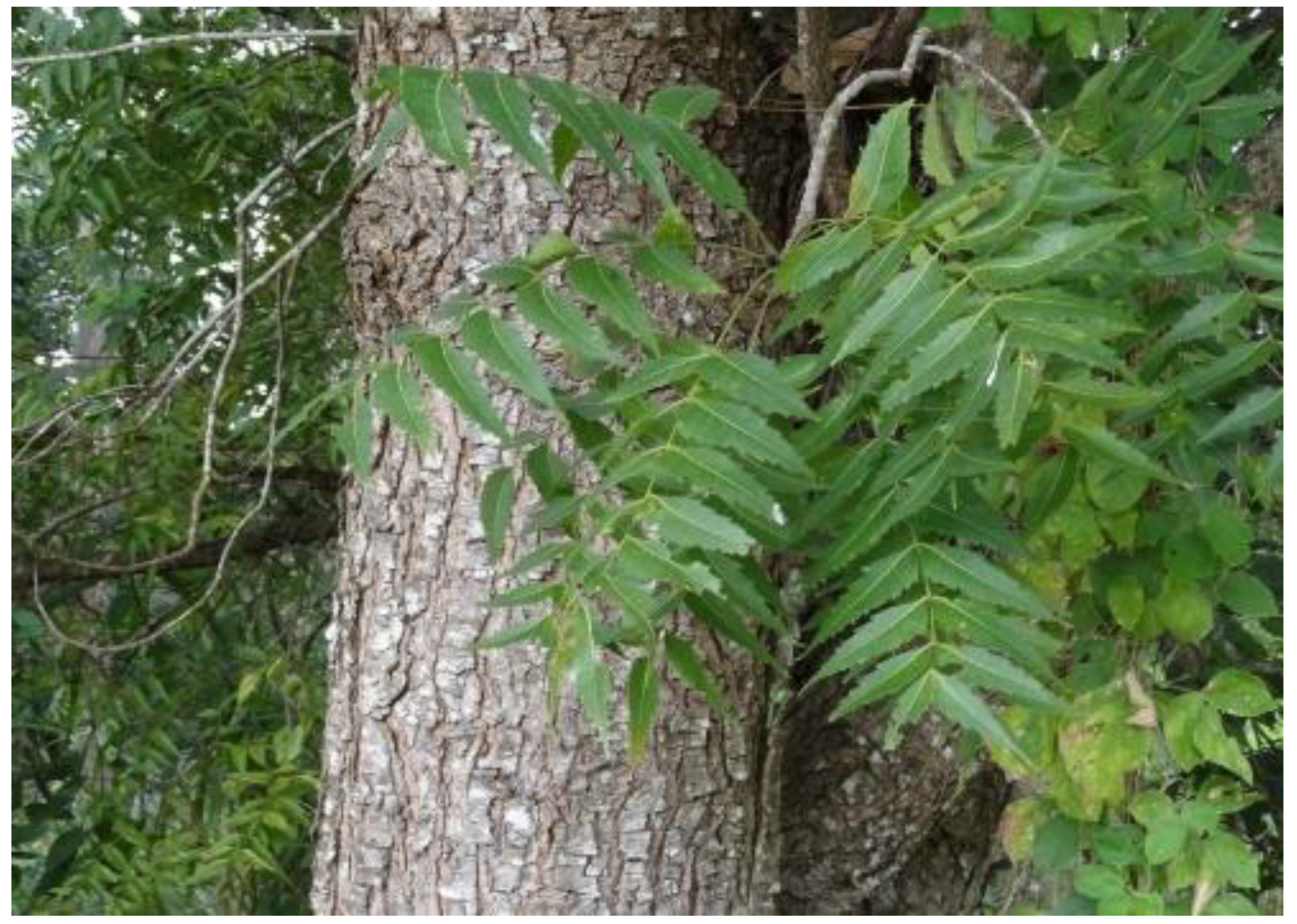 Microbiolres 15 00032 g002