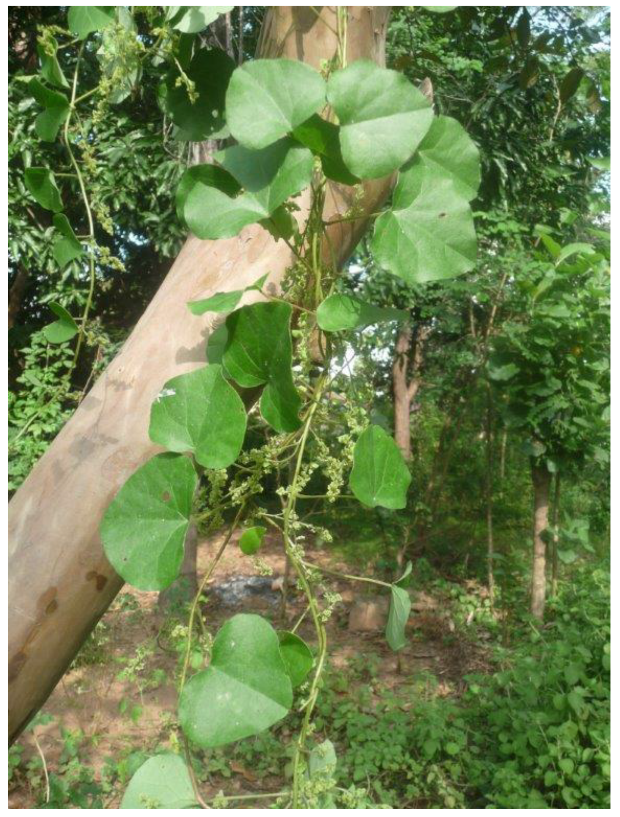 Microbiolres 15 00032 g003