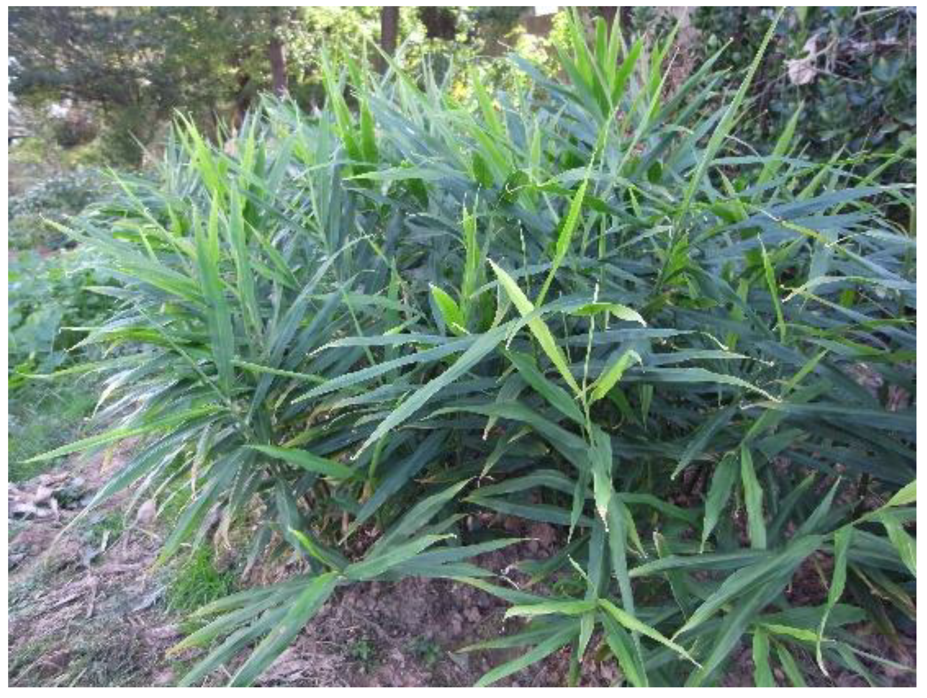 Microbiolres 15 00032 g005