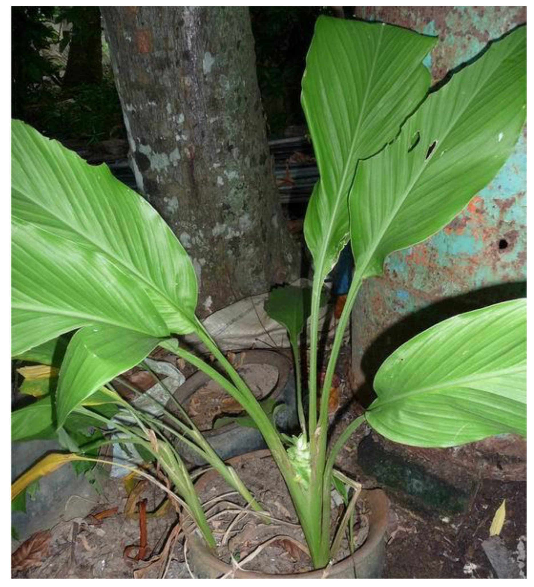 Microbiolres 15 00032 g006