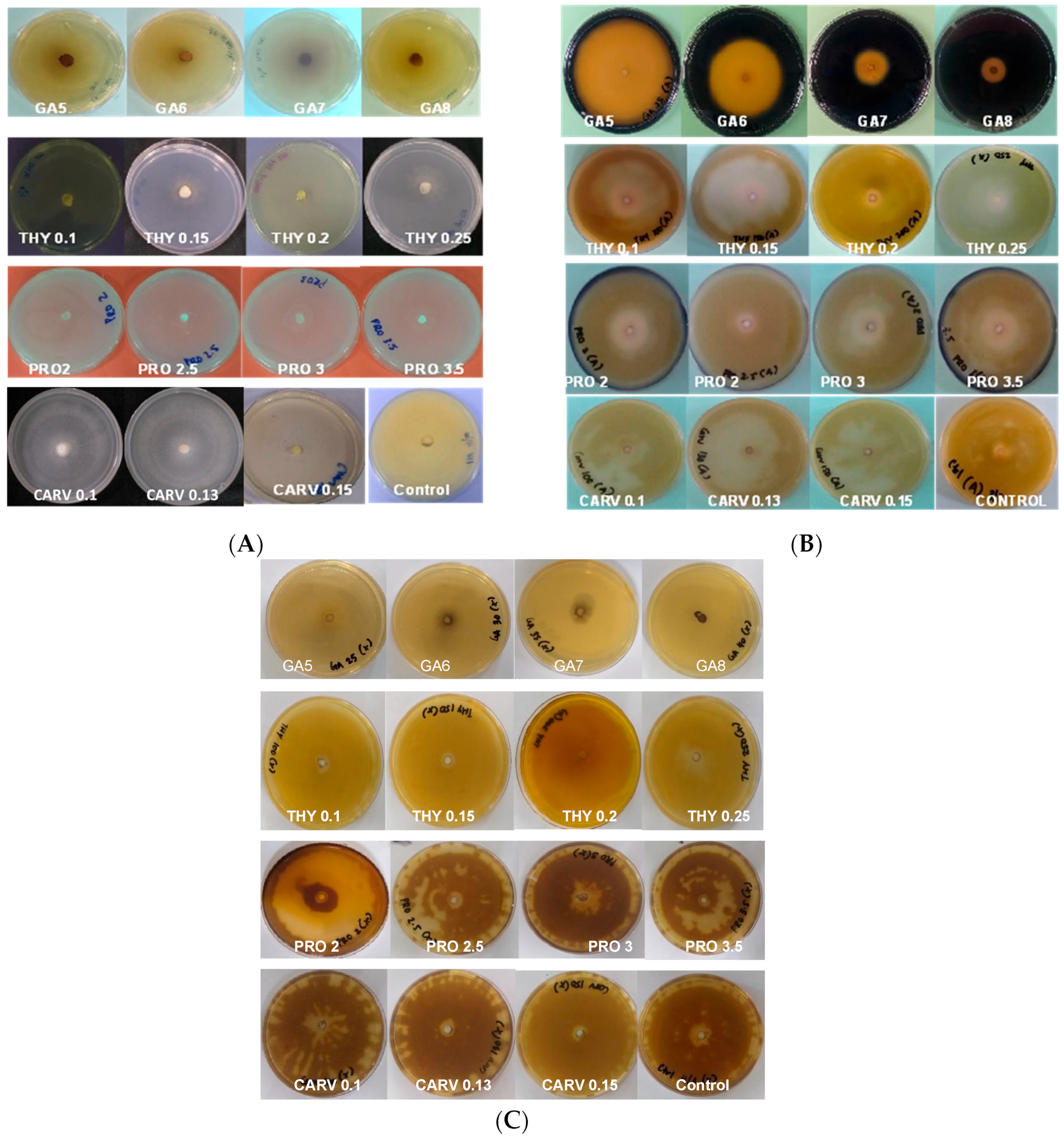Microbiolres 15 00036 g001