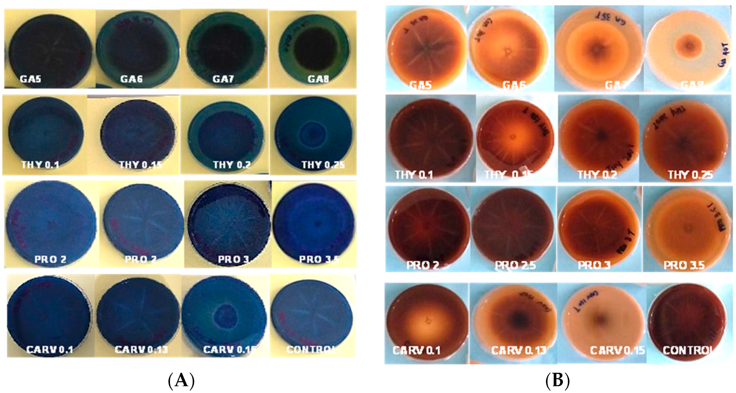 Microbiolres 15 00036 g003