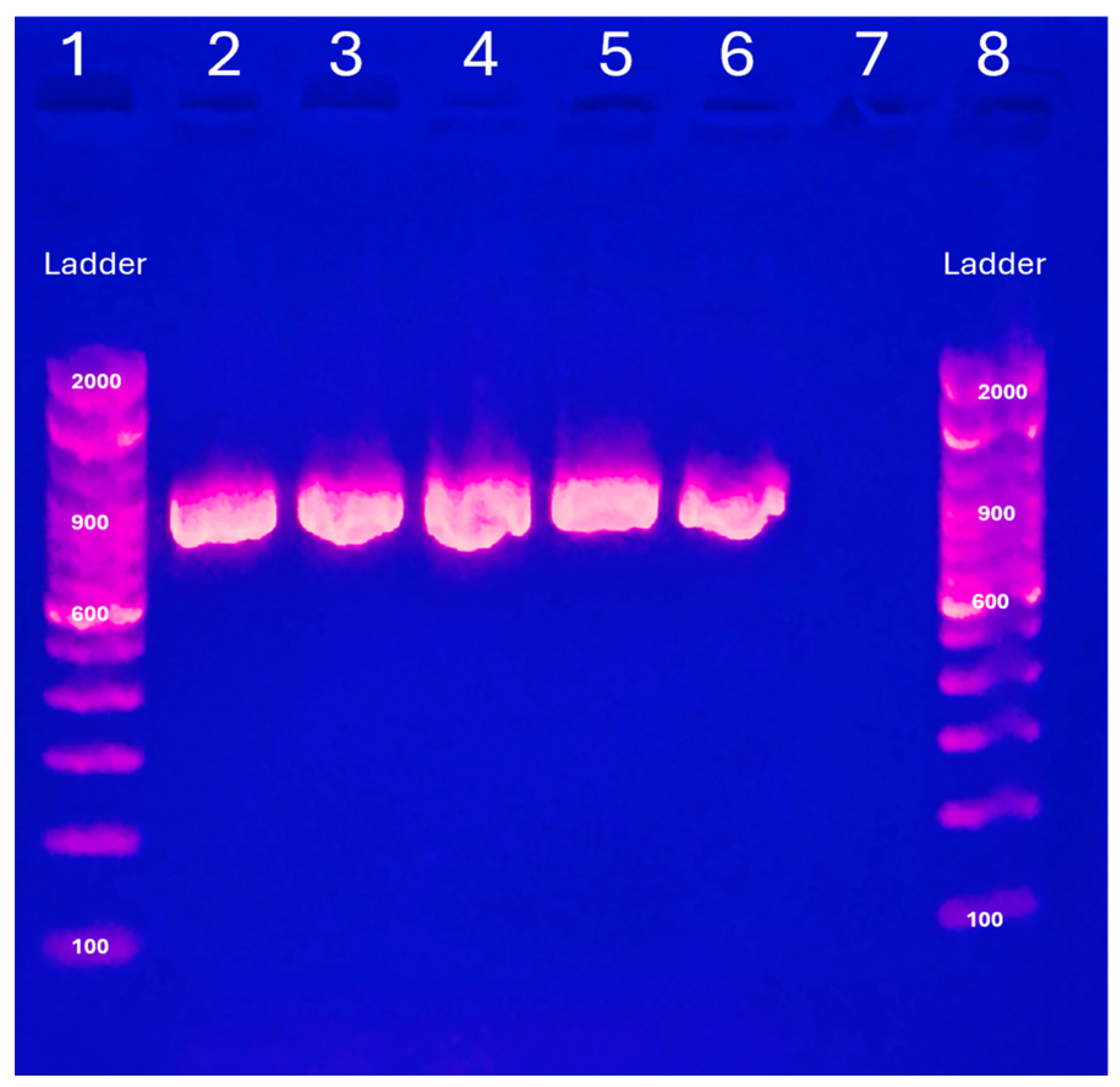 Microbiolres 15 00041 g002