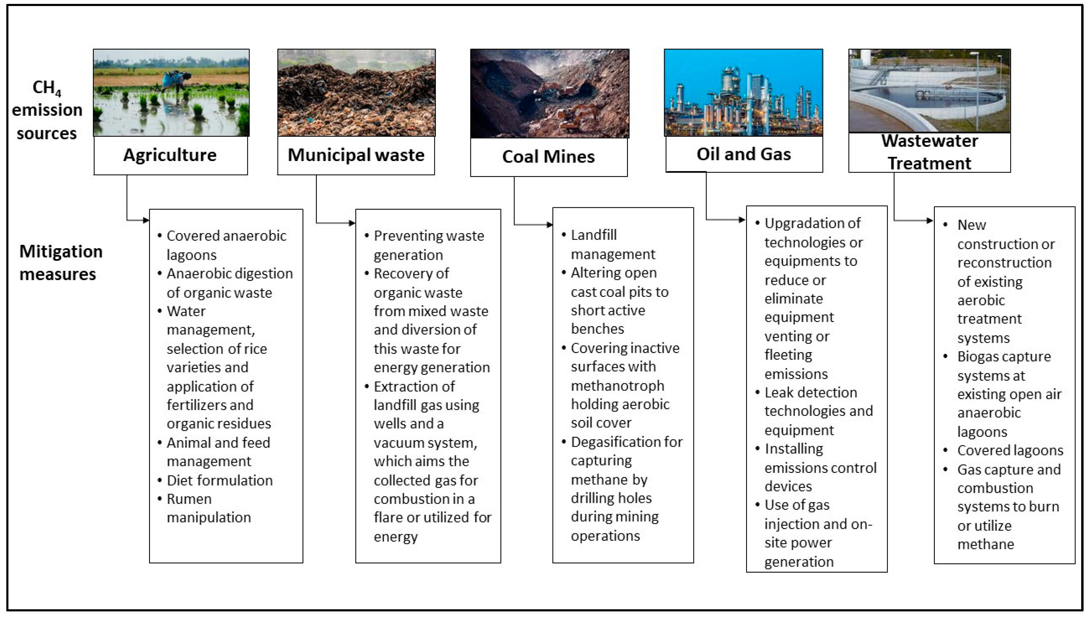 Microbiolres 15 00042 g005 Microbiolres 15 00042 g005