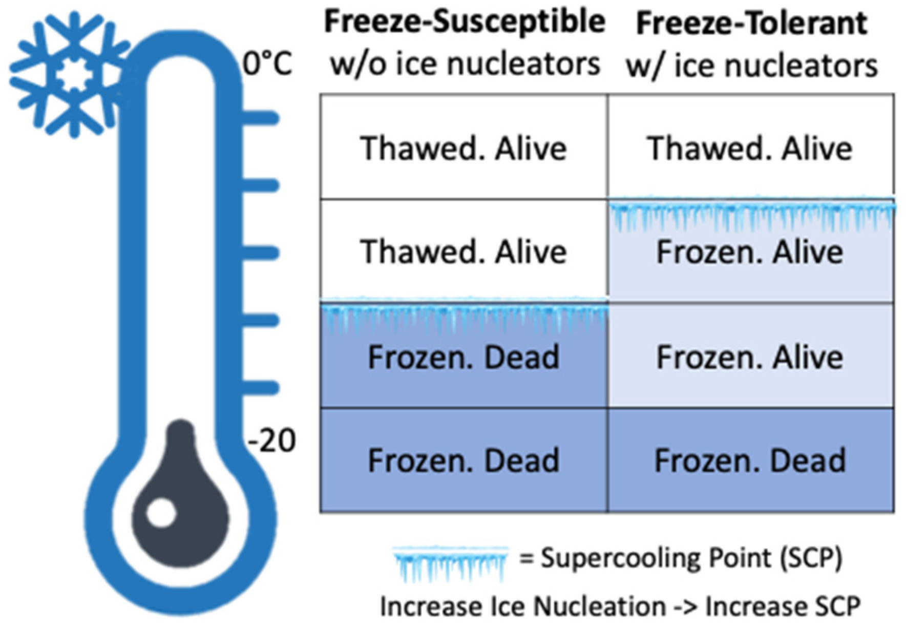 Microbiolres 15 00046 g002