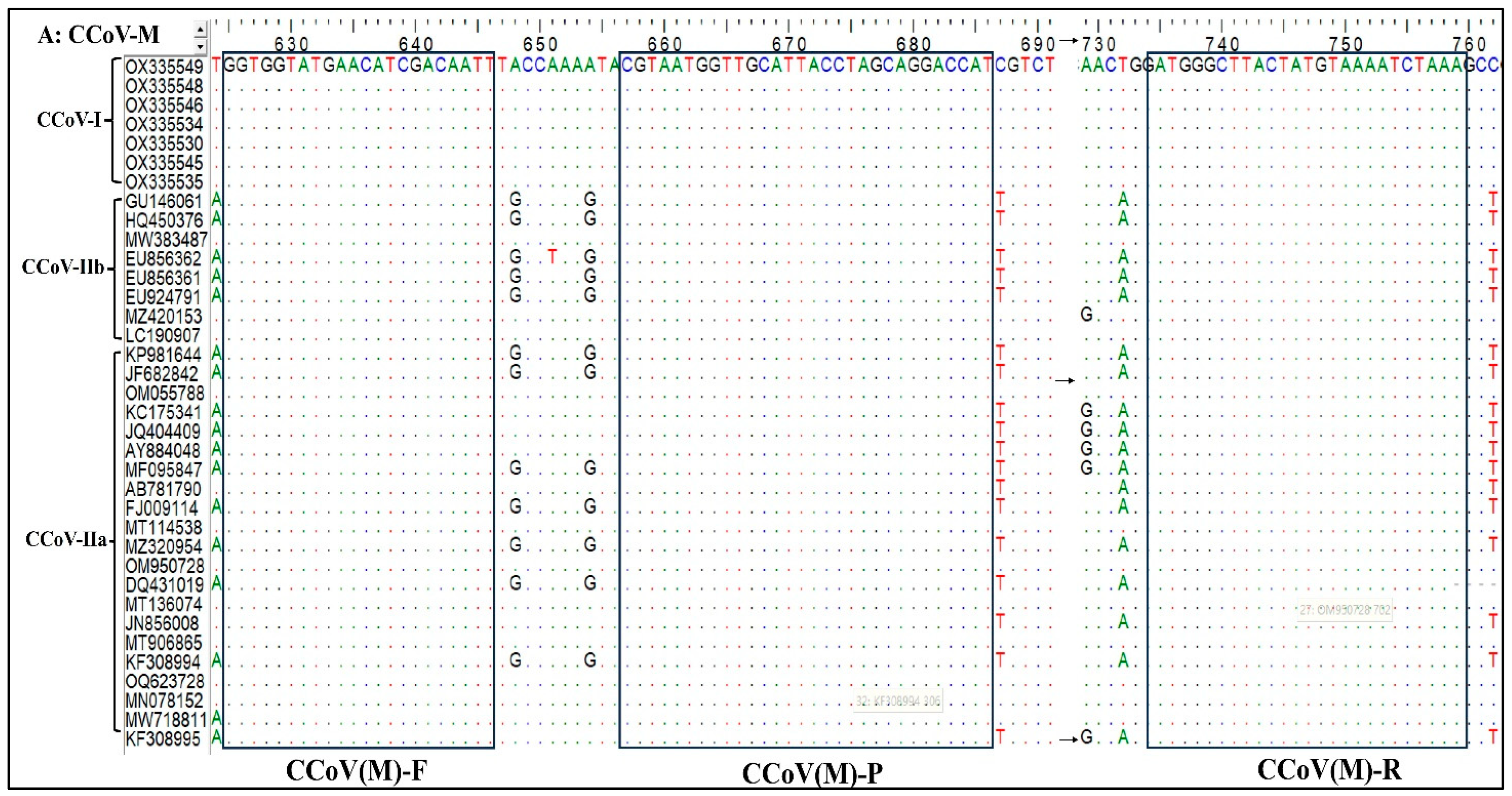 Microbiolres 15 00049 g001a