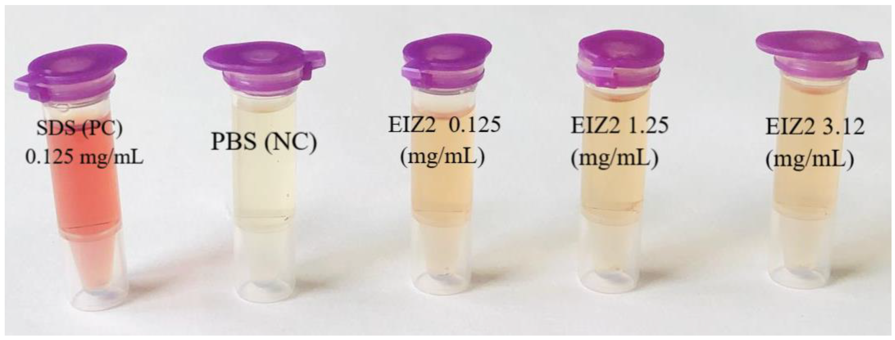 Microbiolres 15 00050 g007 Microbiolres 15 00050 g007