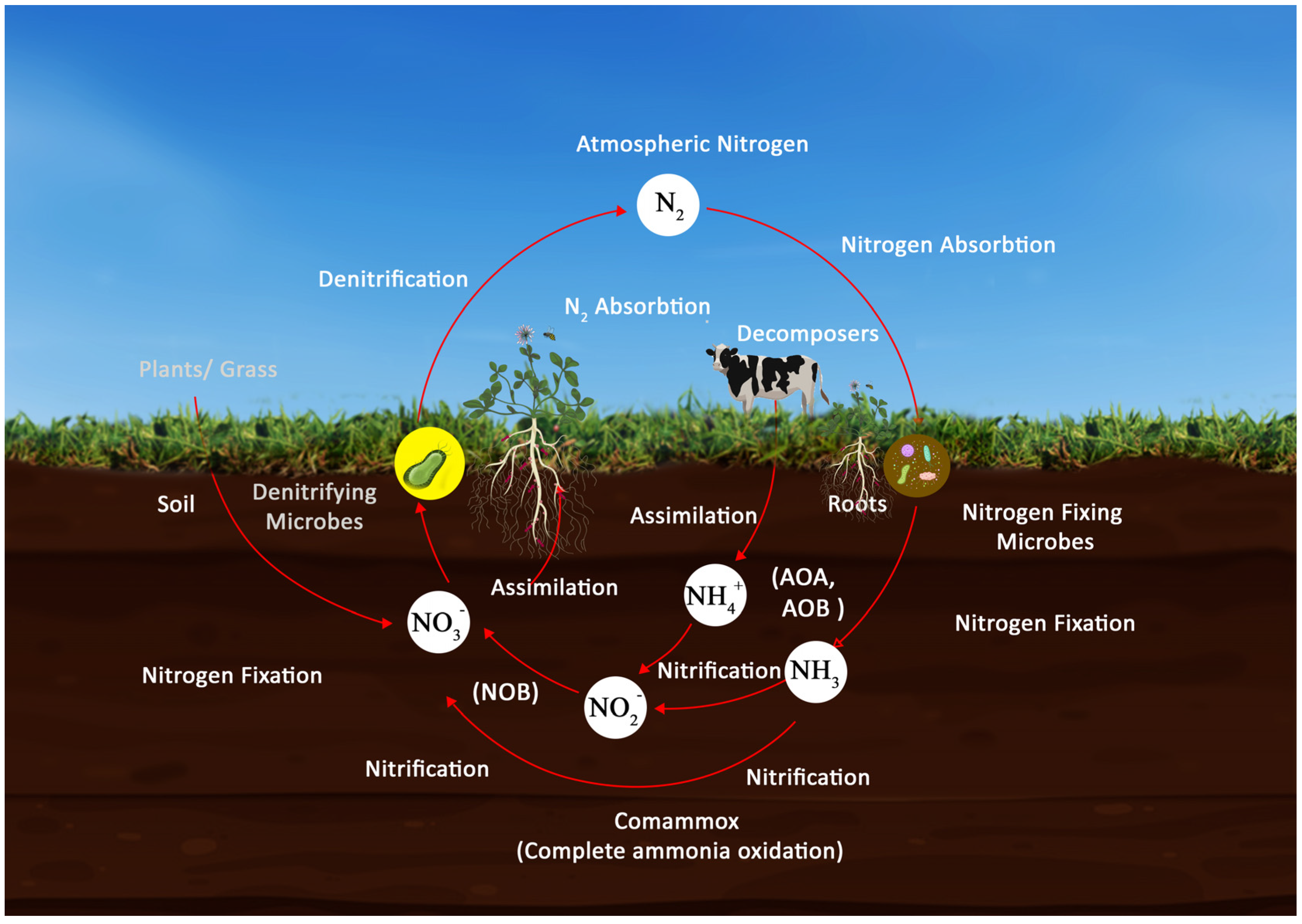 Microbiolres 15 00052 g001