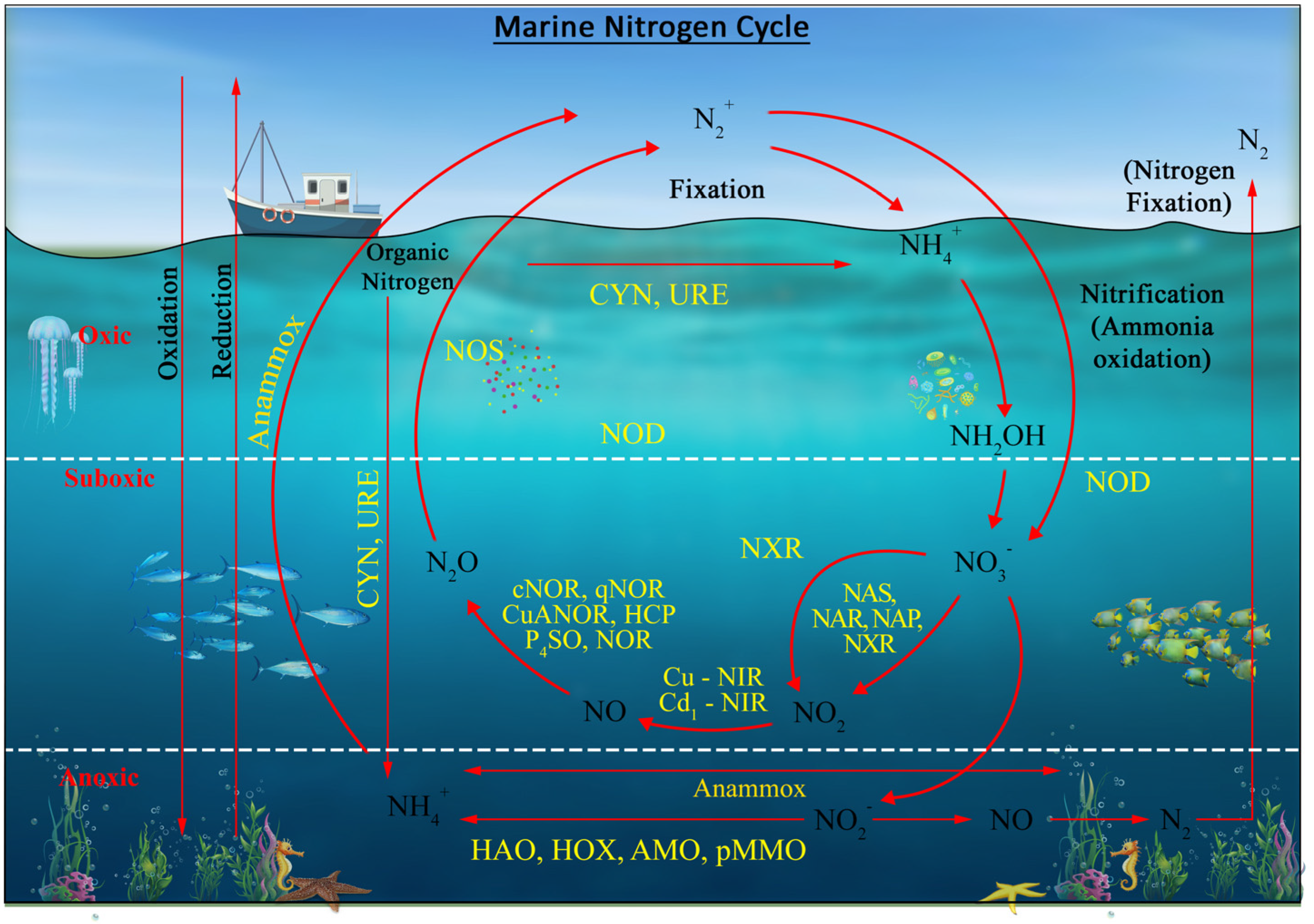 Microbiolres 15 00052 g003