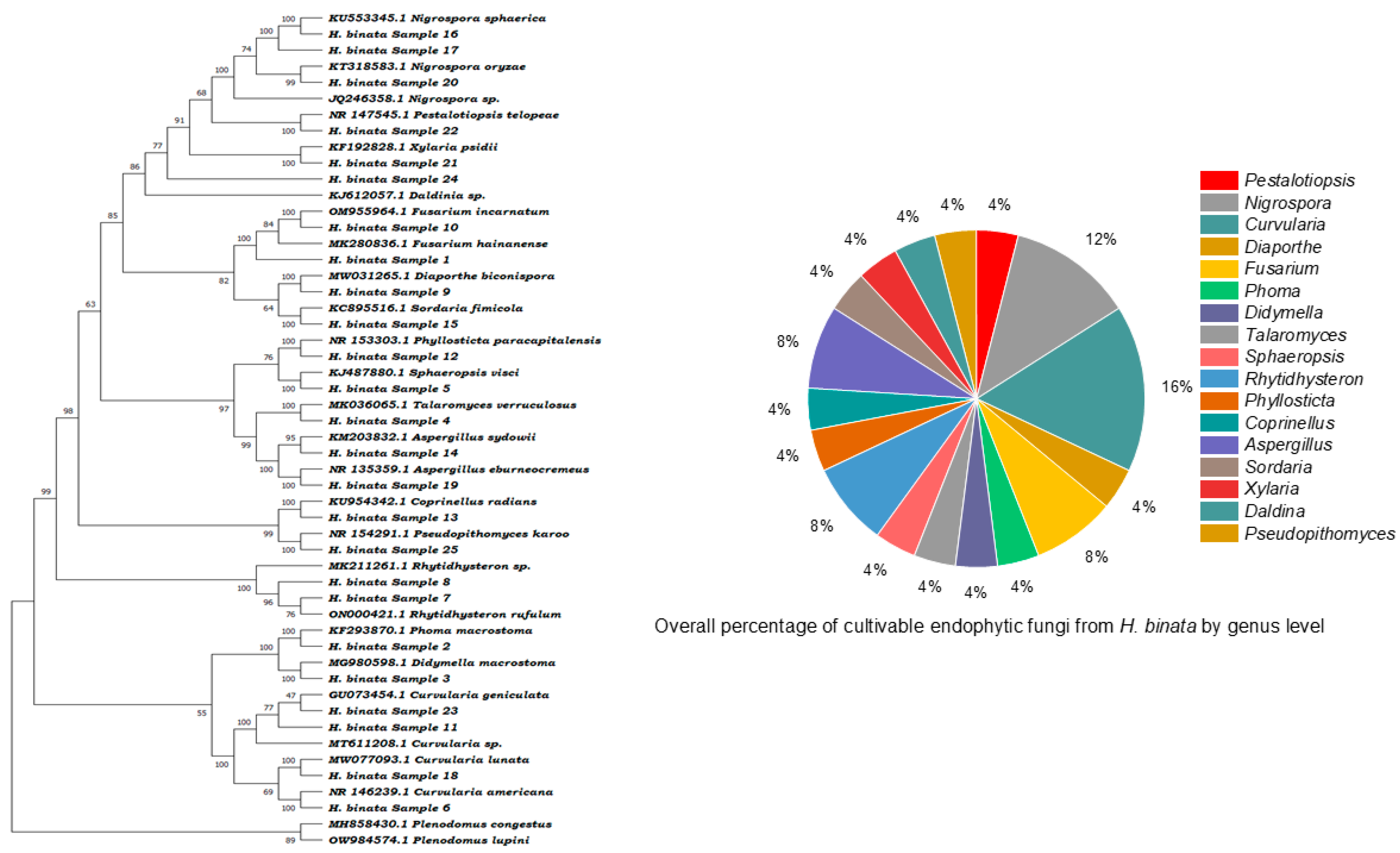 Microbiolres 15 00053 g003