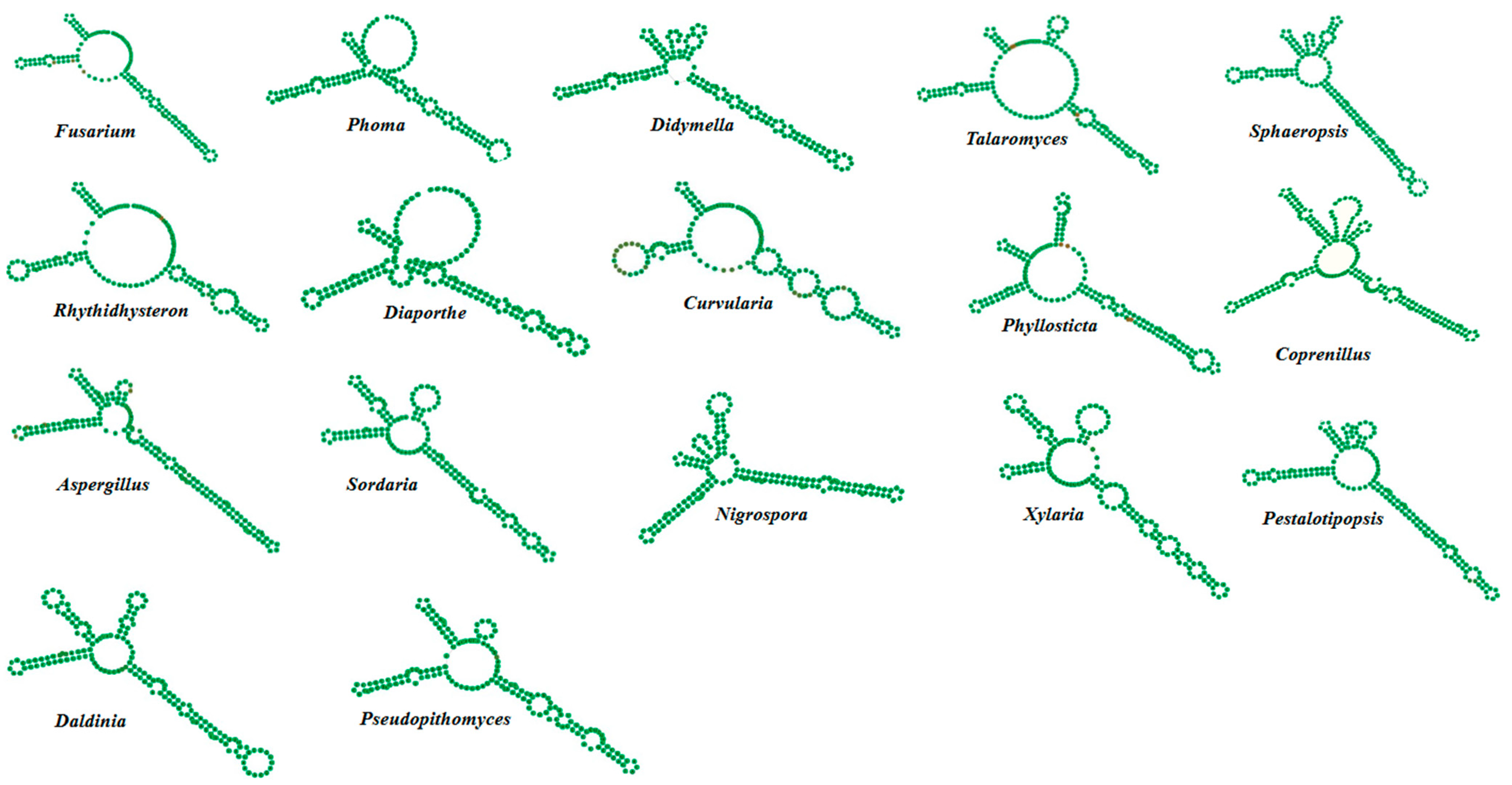 Microbiolres 15 00053 g004
