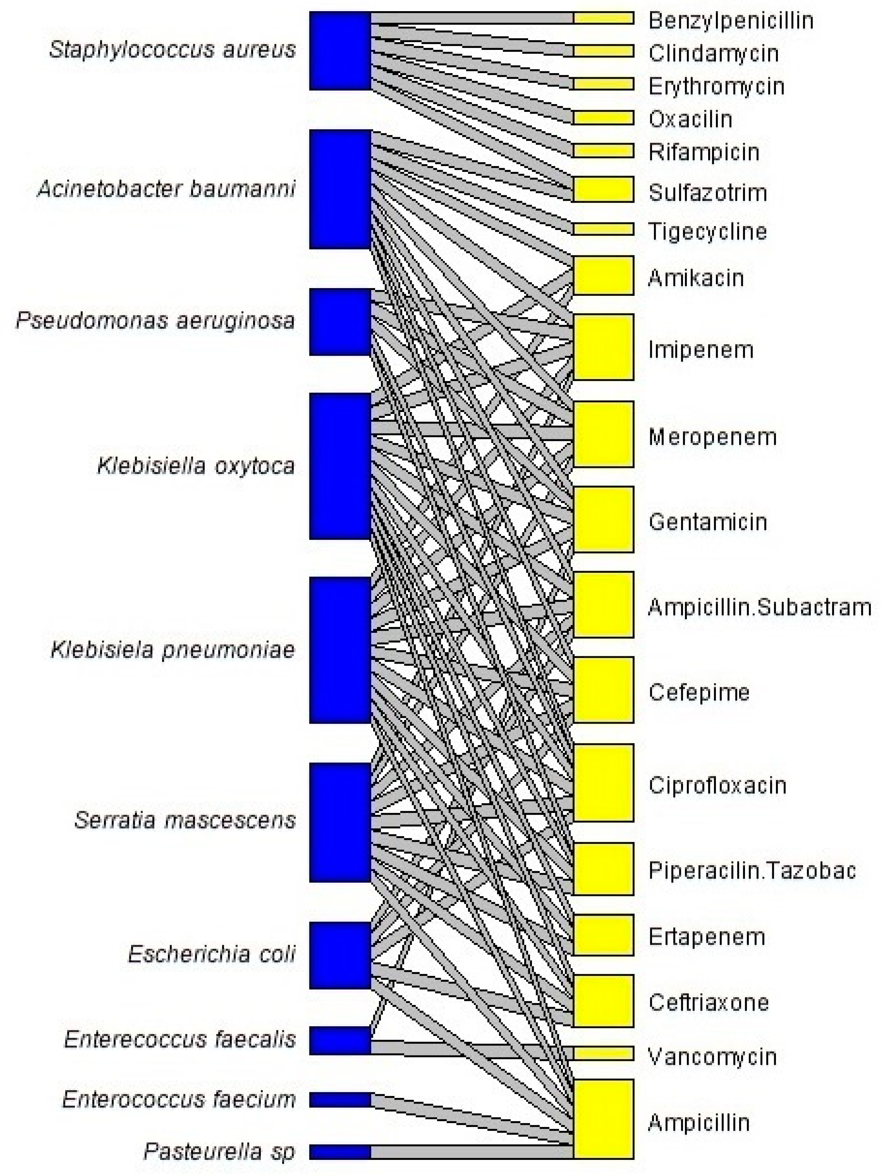 Microbiolres 15 00076 g001