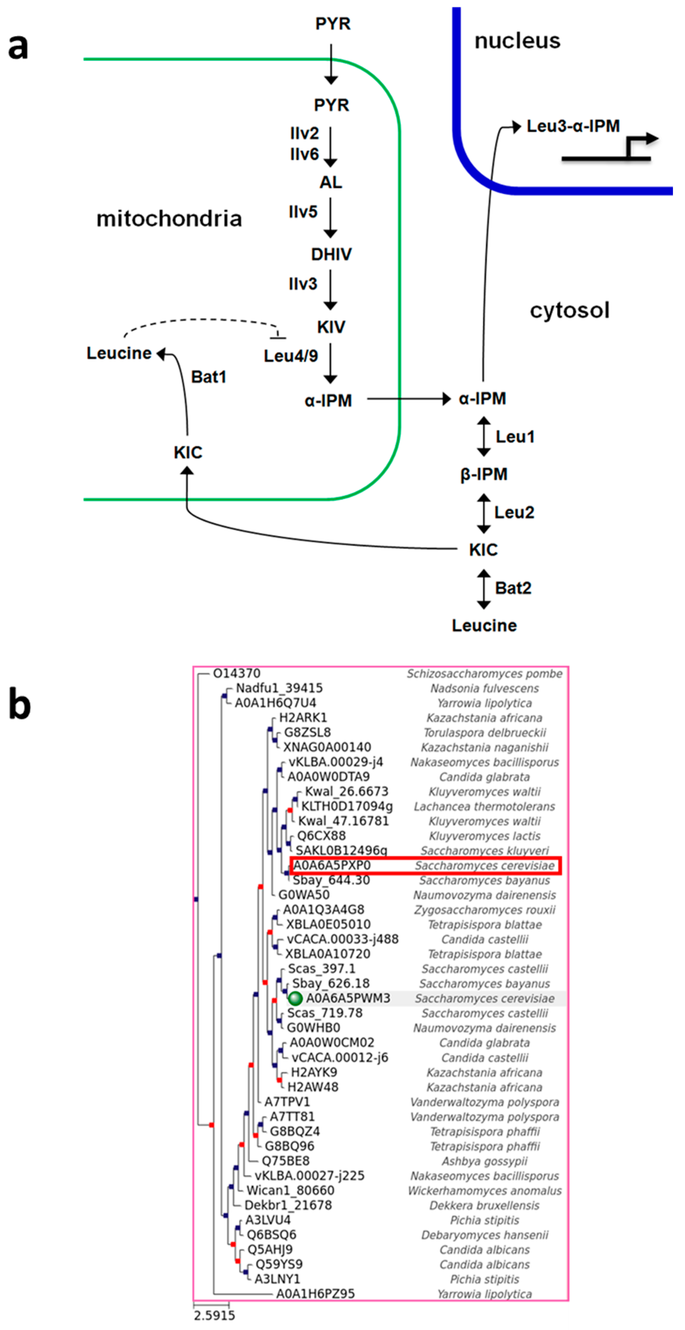 Microbiolres 15 00082 g001 Microbiolres 15 00082 g001