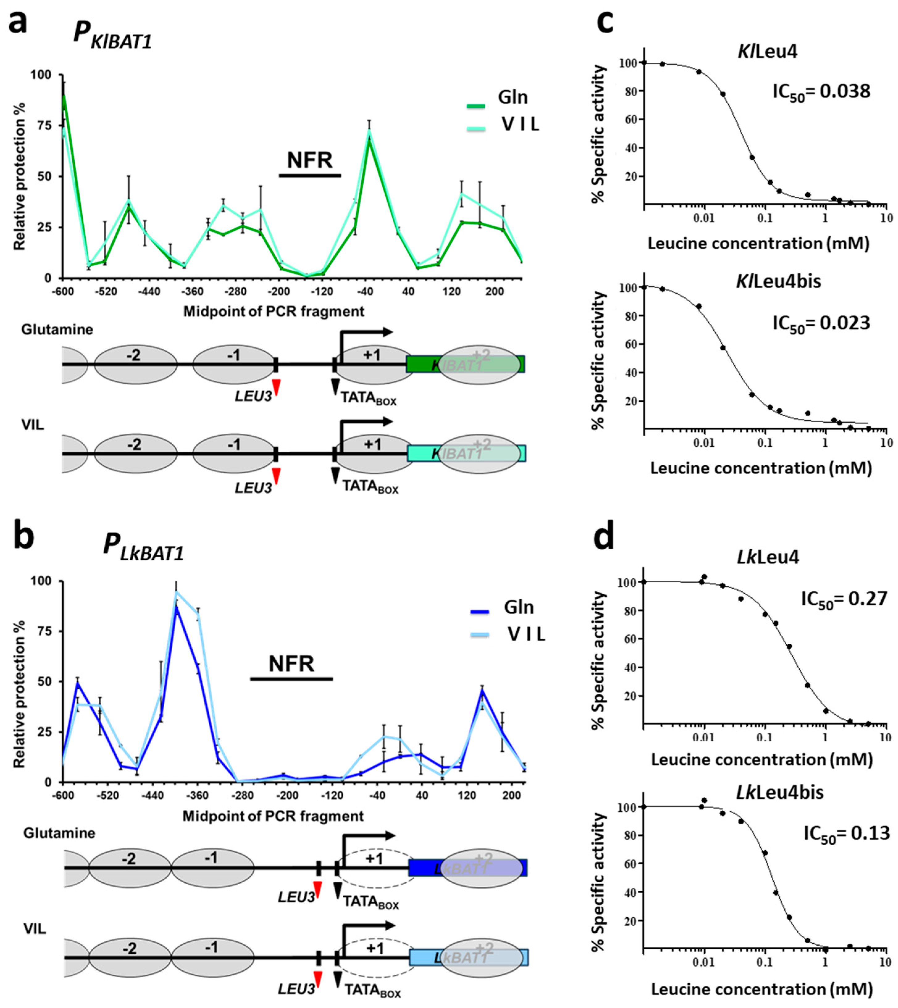 Microbiolres 15 00082 g003 Microbiolres 15 00082 g003