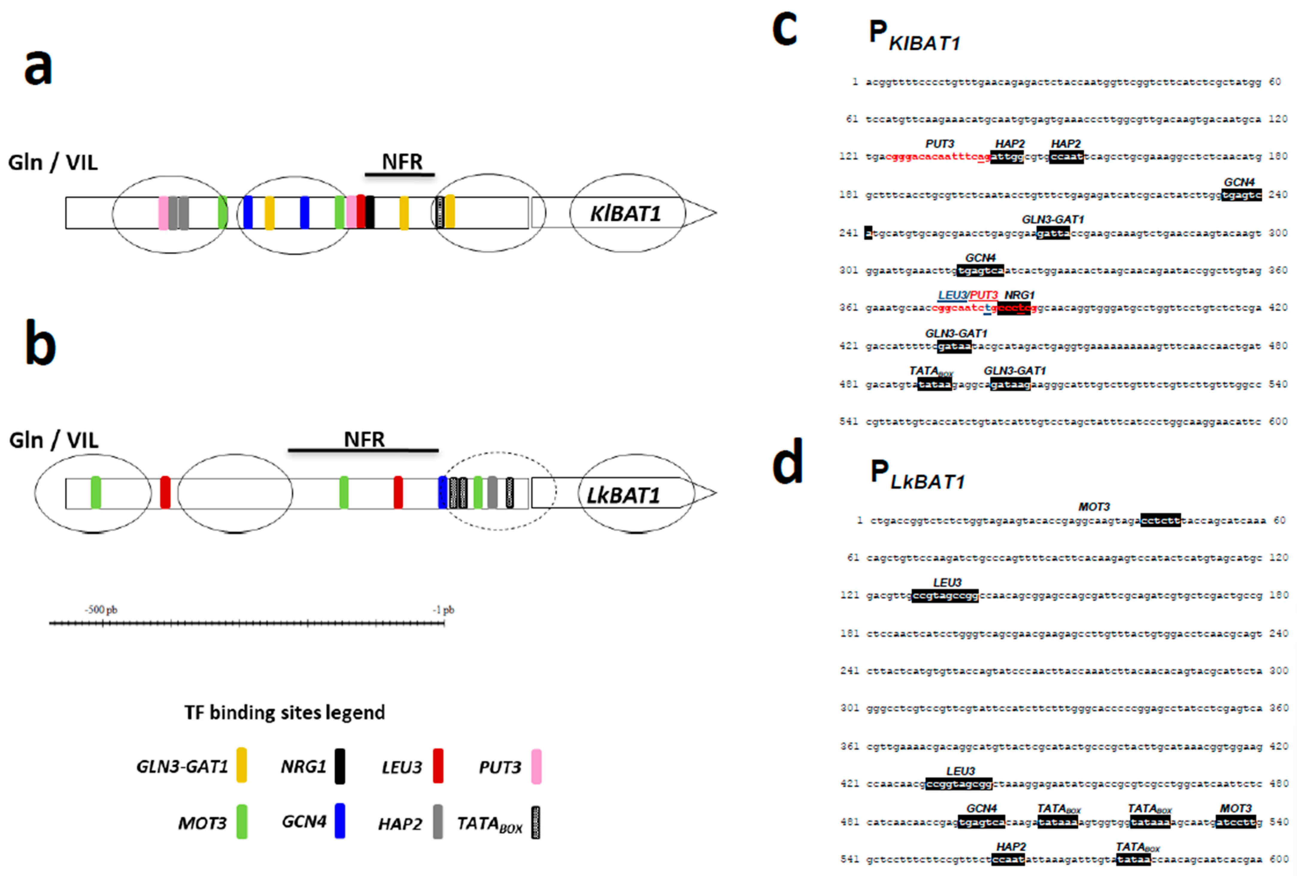 Microbiolres 15 00082 g004 Microbiolres 15 00082 g004