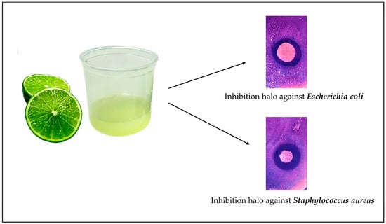 Tahiti Lemon Juice: A Natural Alternative to Reduce Bacteria from Eggshells