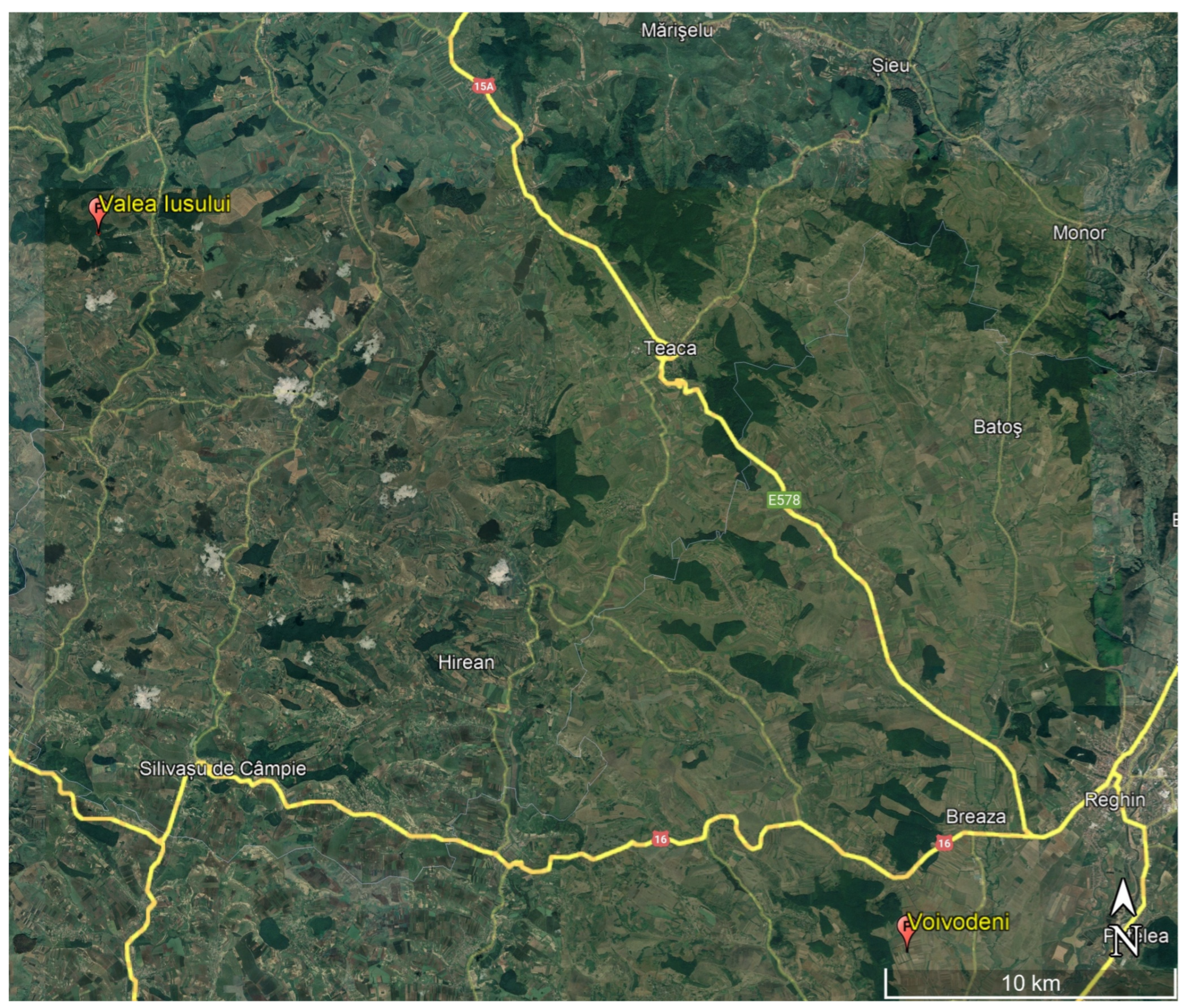 Microbiolres 15 00097 g001