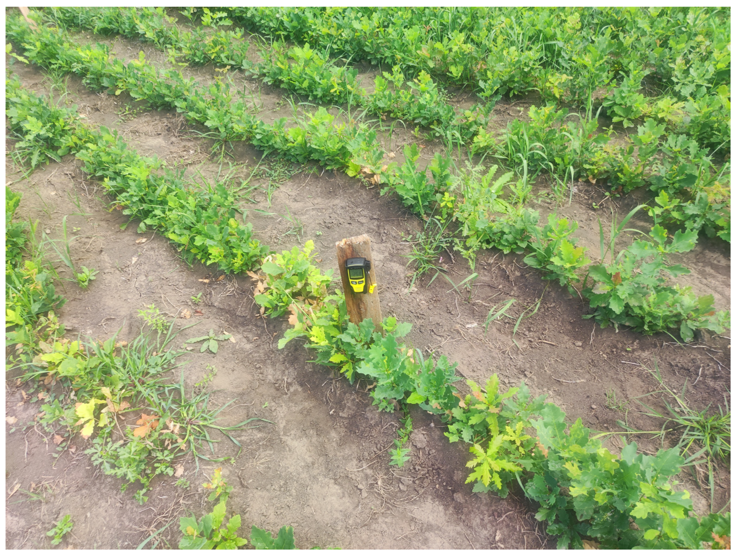 Microbiolres 15 00097 g003