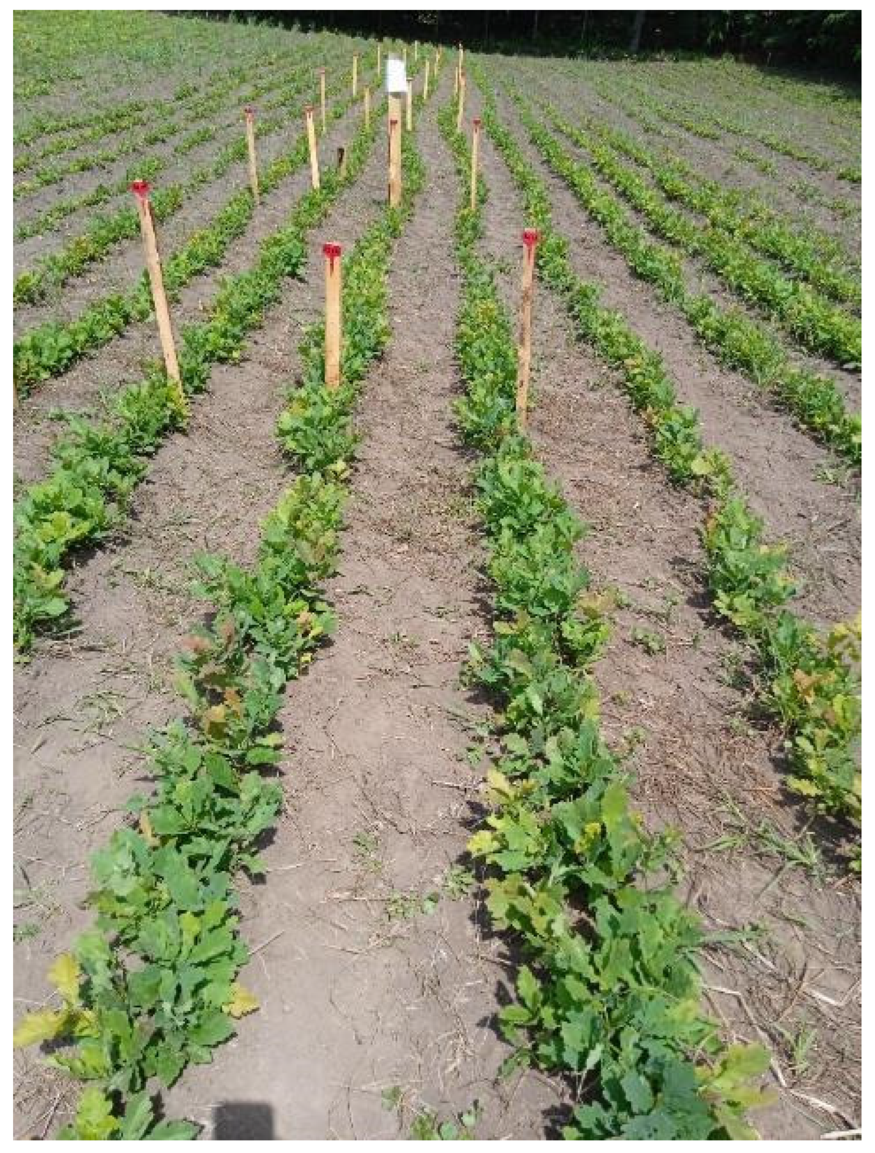 Microbiolres 15 00097 g006