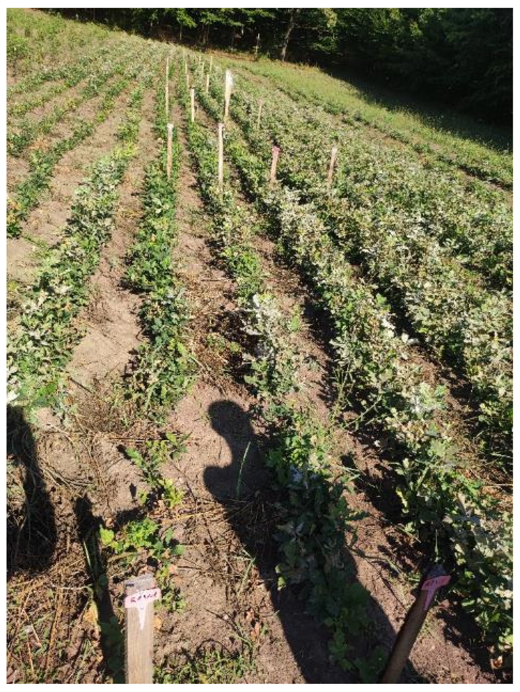 Microbiolres 15 00097 g007