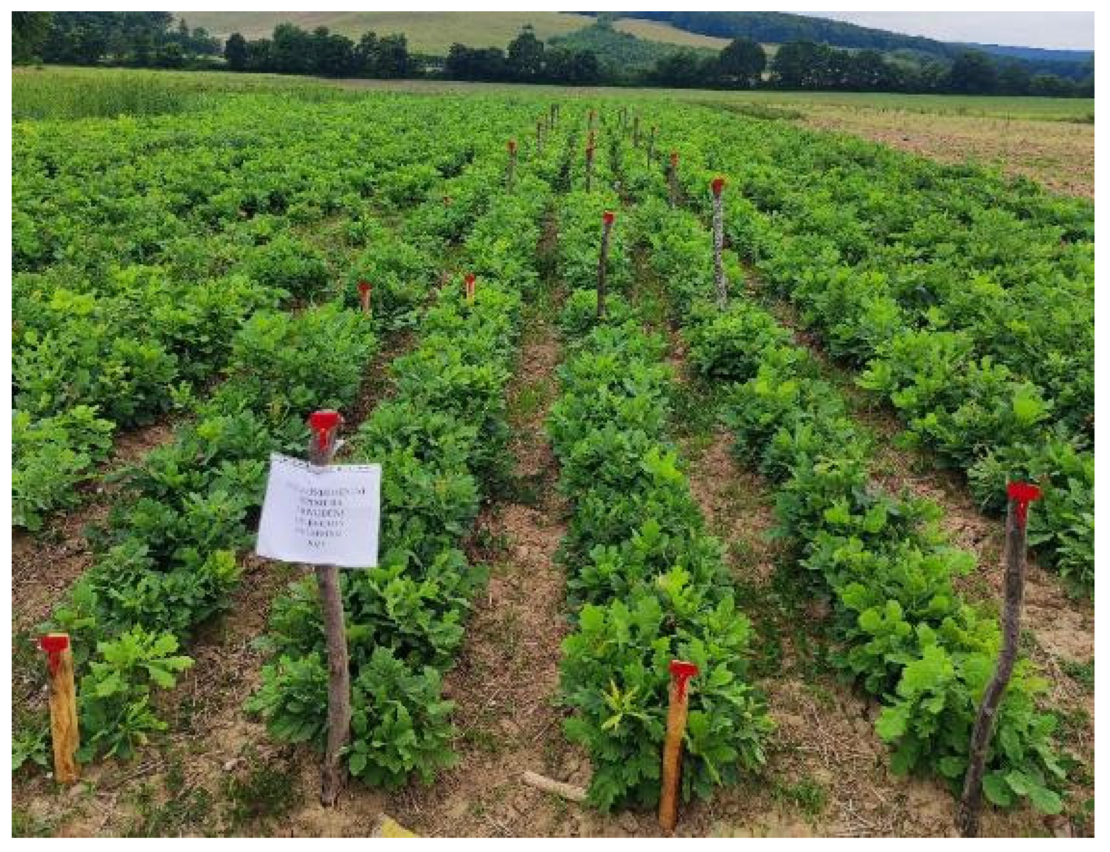 Microbiolres 15 00097 g010