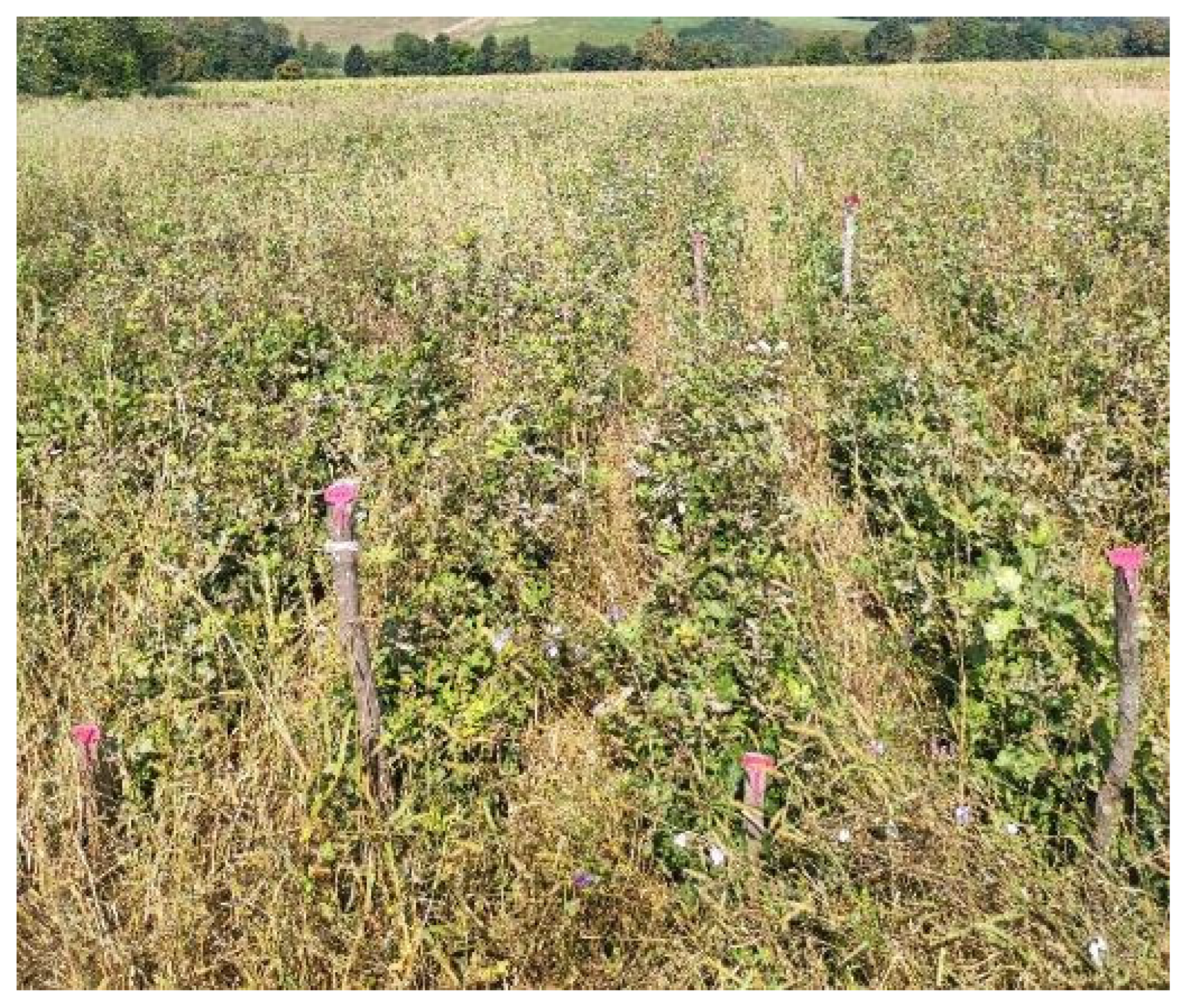 Microbiolres 15 00097 g011