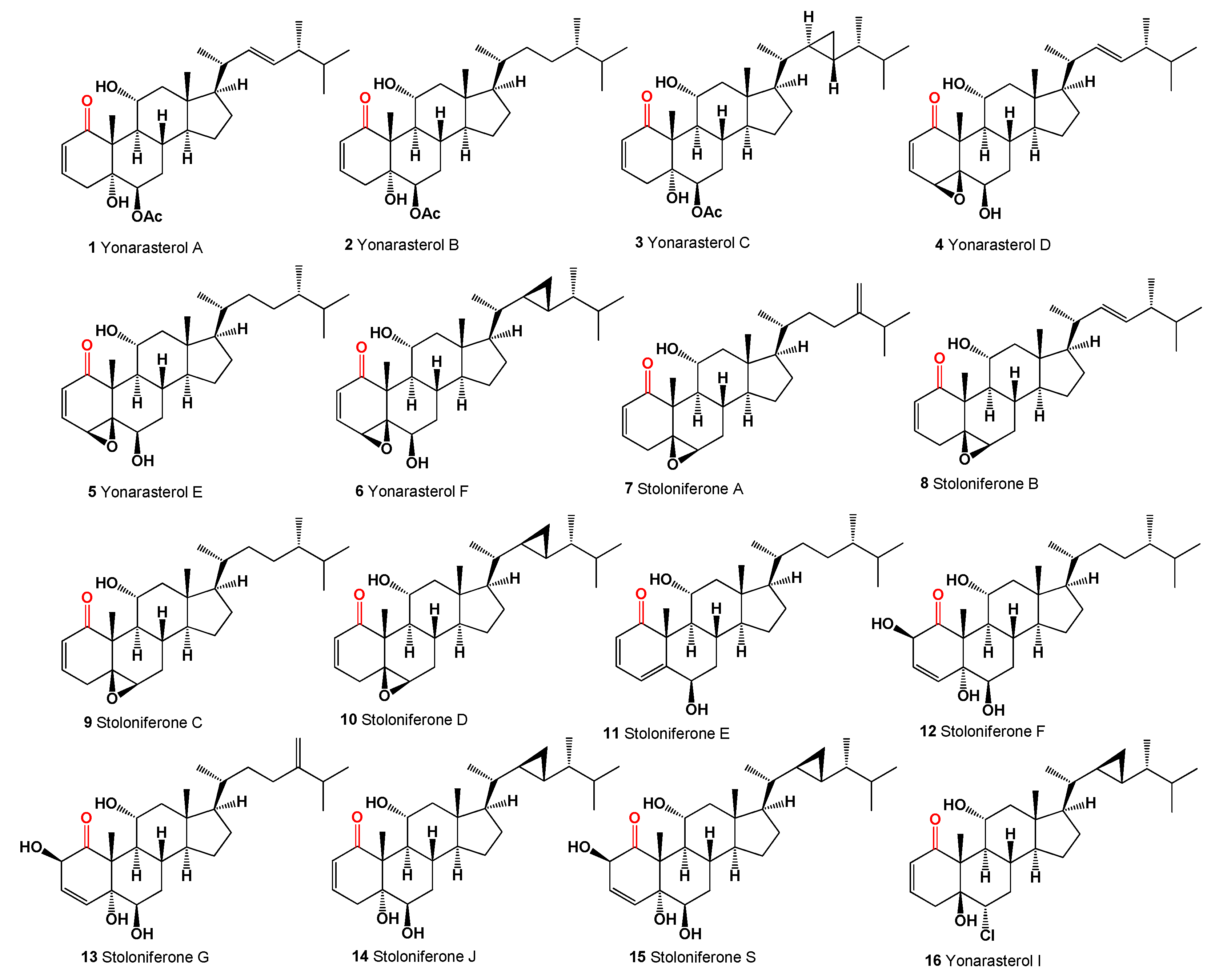 Microbiolres 15 00103 g002 Microbiolres 15 00103 g002