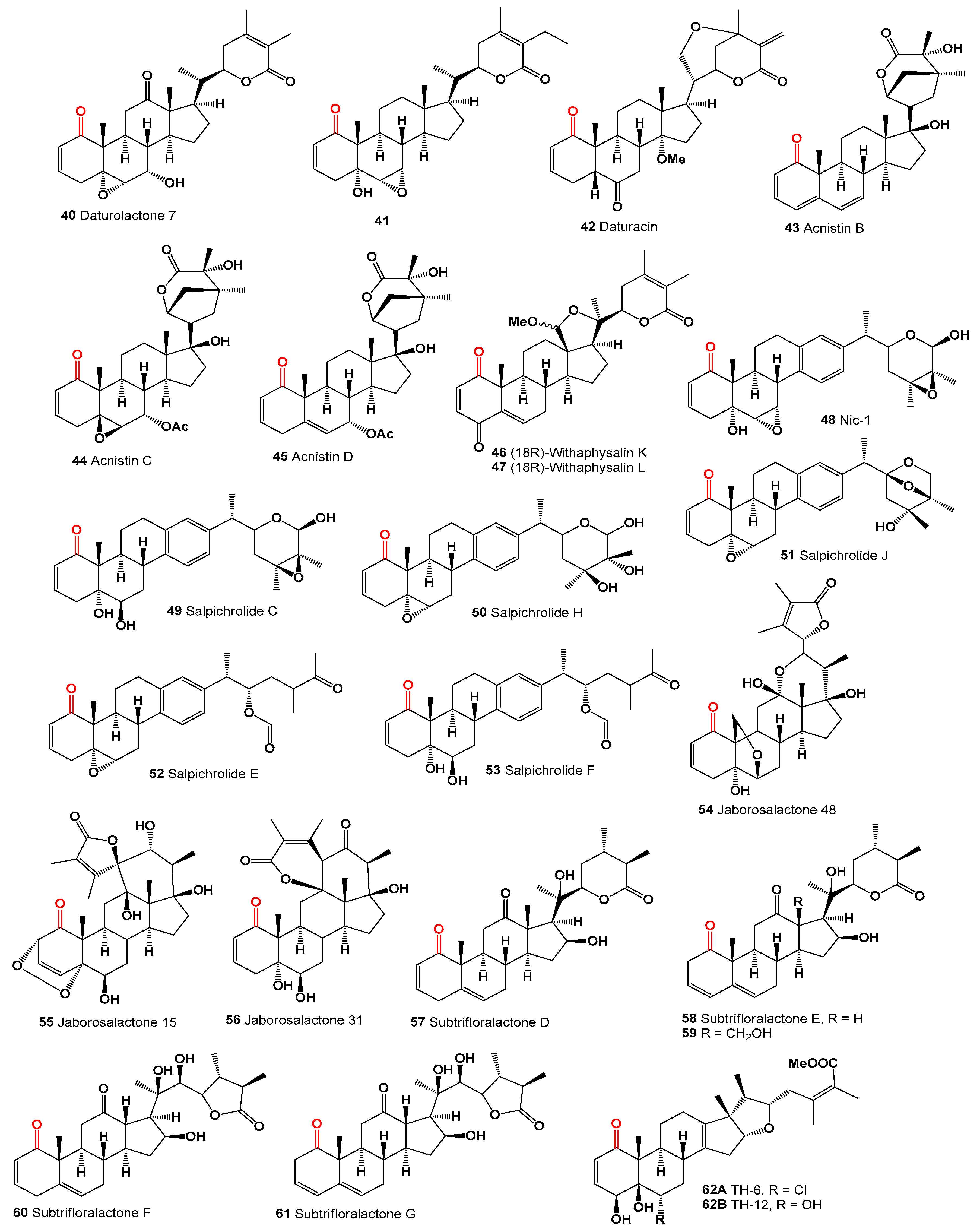 Microbiolres 15 00103 g003 Microbiolres 15 00103 g003