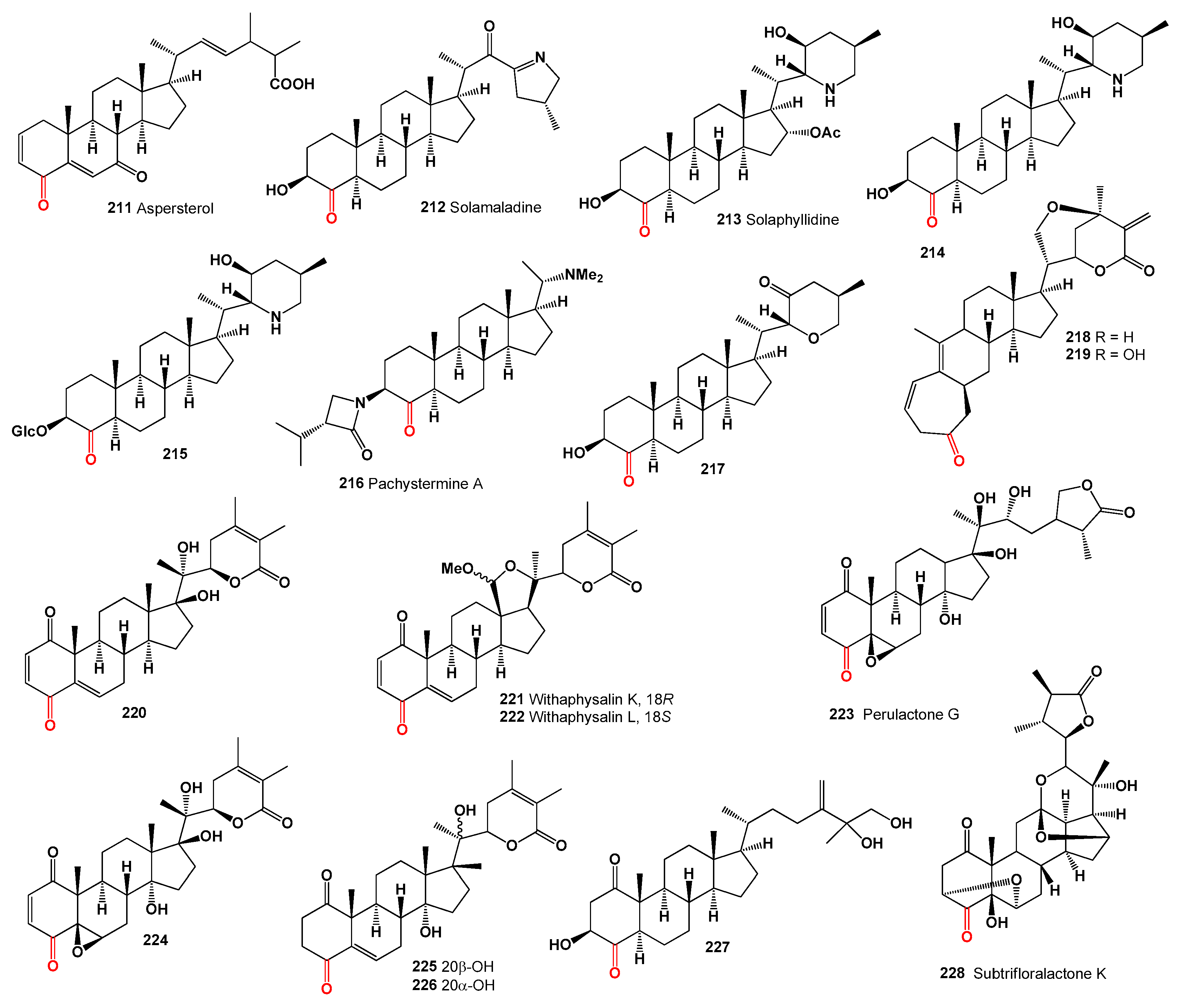 Microbiolres 15 00103 g008 Microbiolres 15 00103 g008