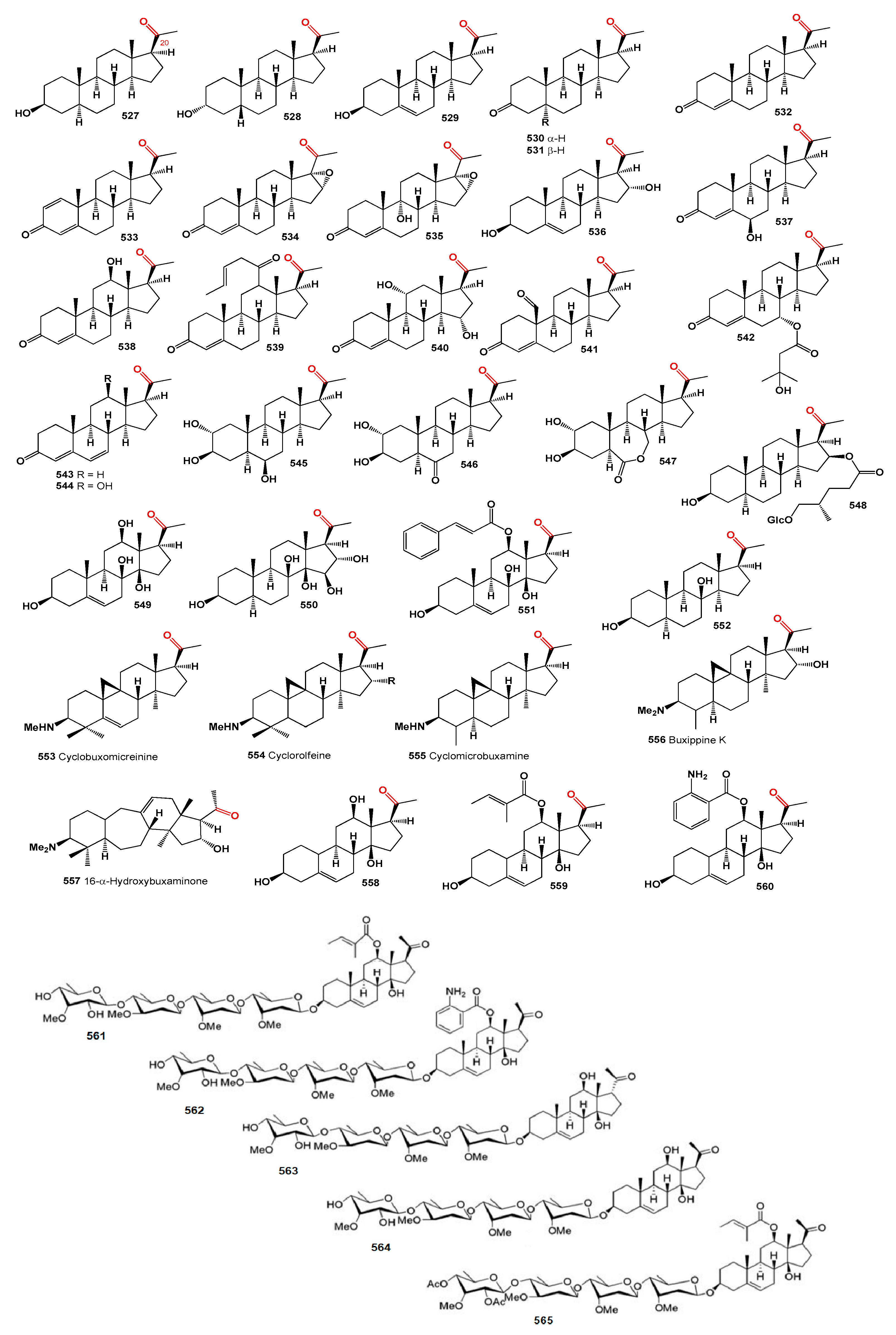 Microbiolres 15 00103 g016 Microbiolres 15 00103 g016