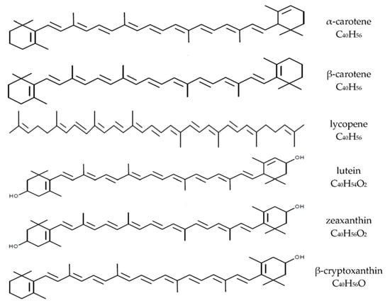 Microbiolres 15 00111 g001