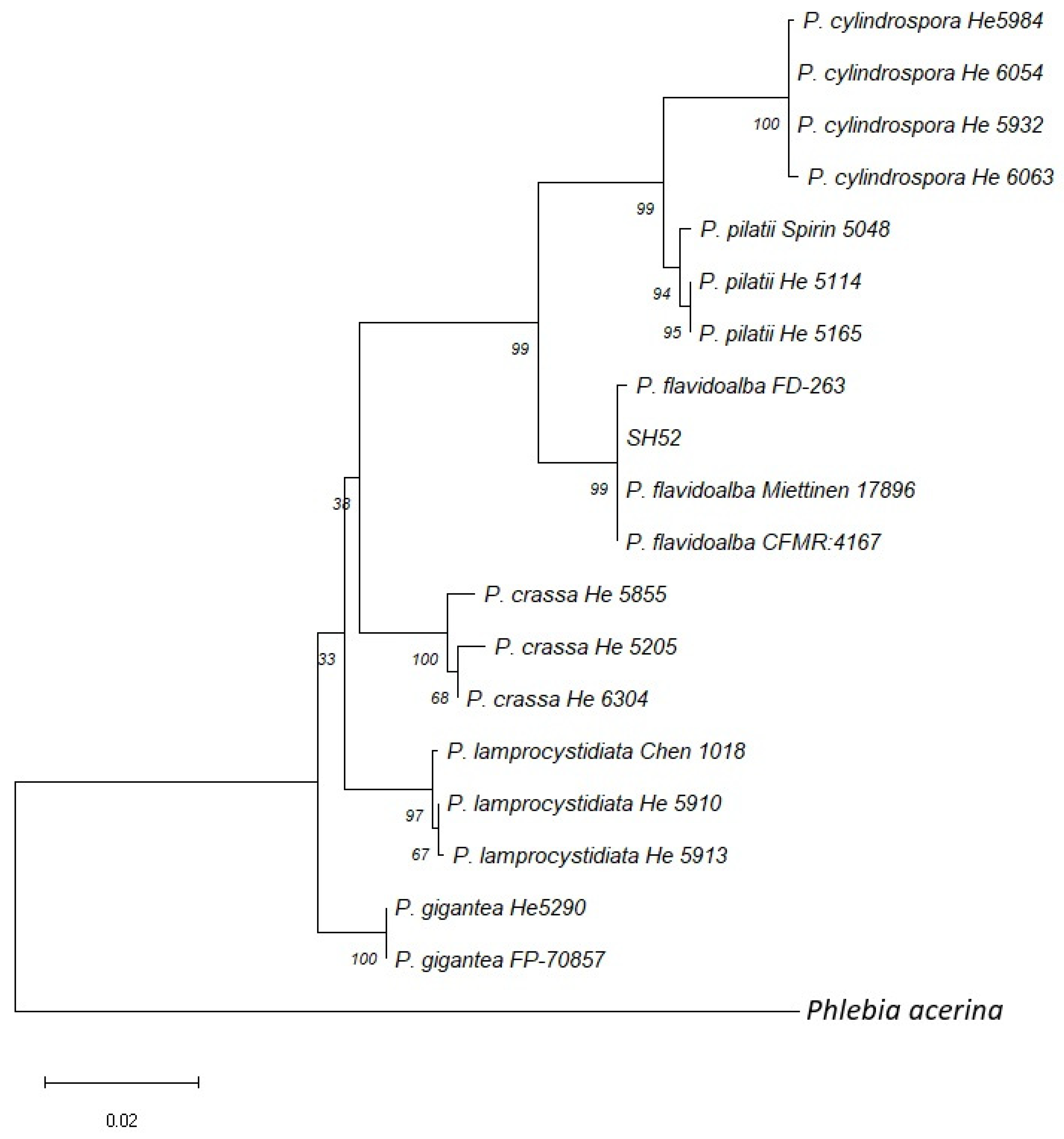 Microbiolres 15 00162 g002