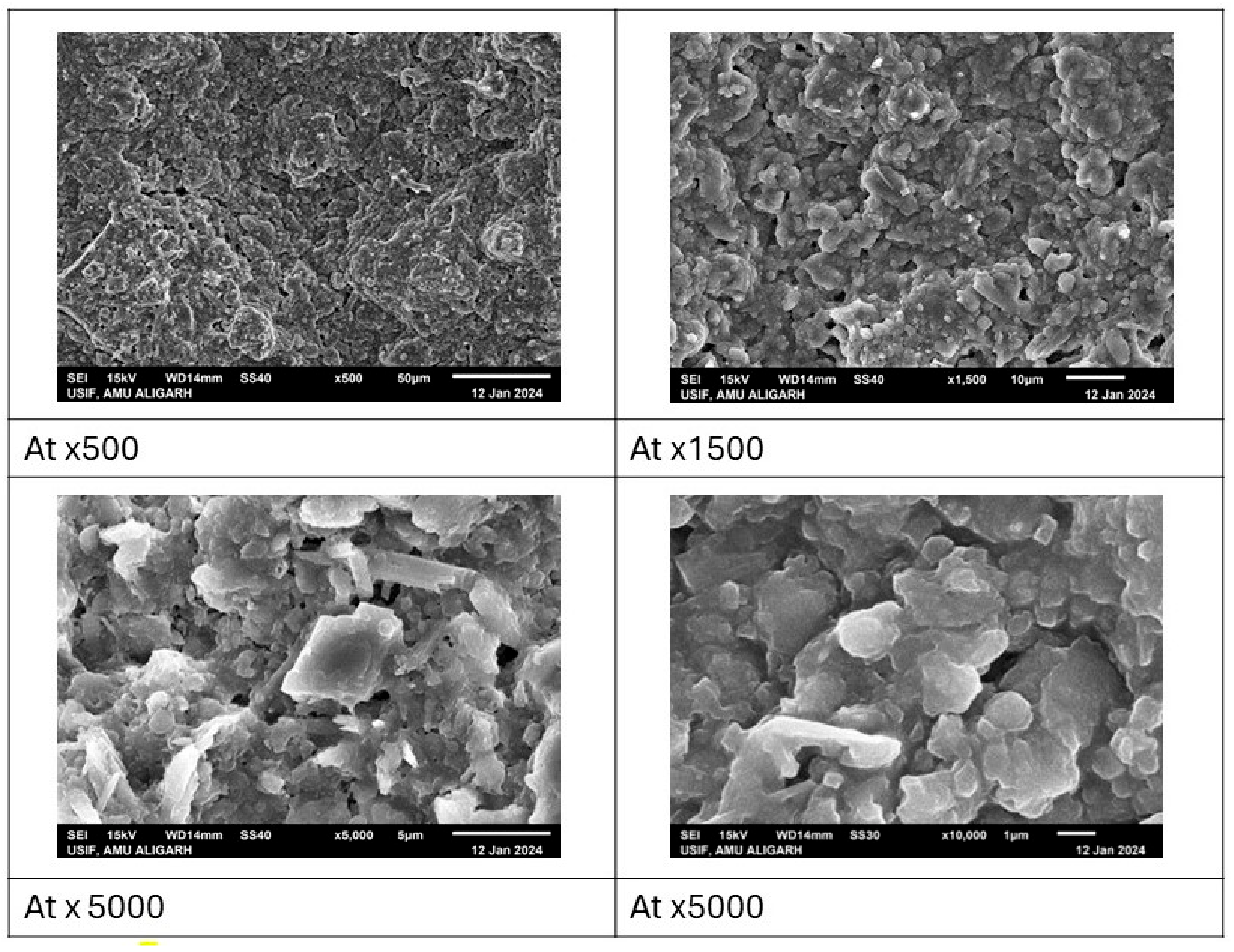 Microbiolres 15 00169 g003