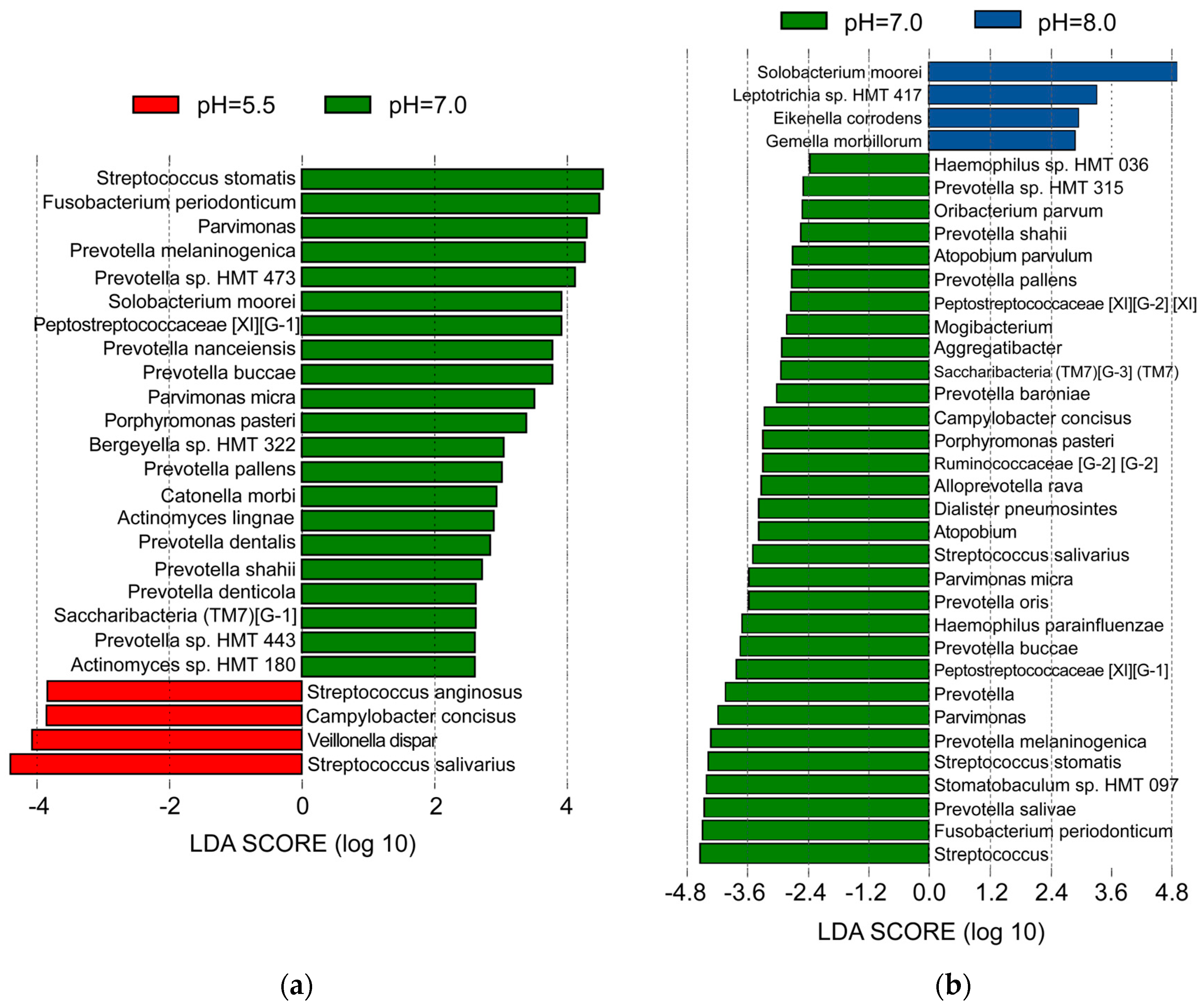 Microbiolres 15 00183 g004