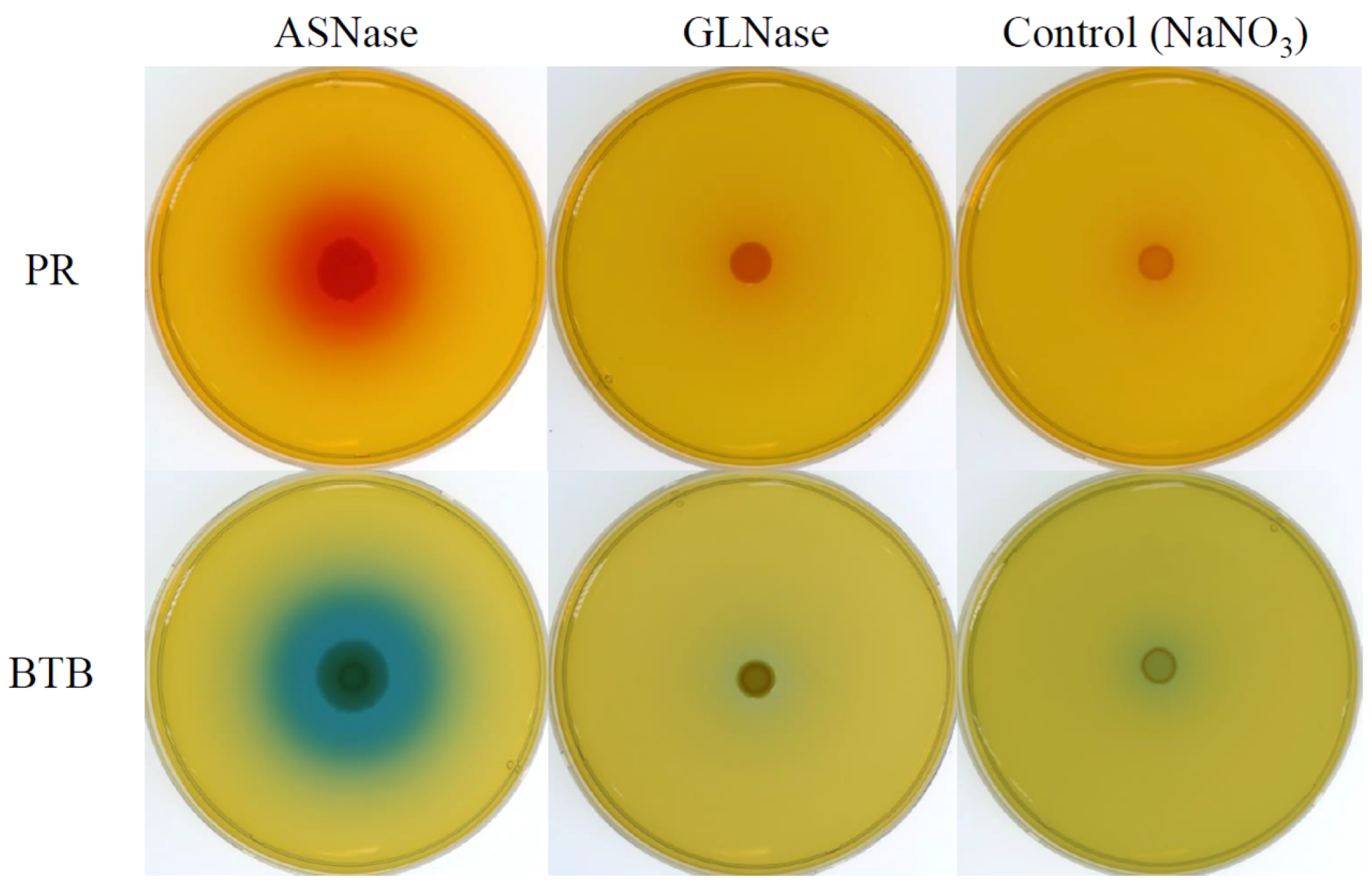 Microbiolres 16 00002 g001